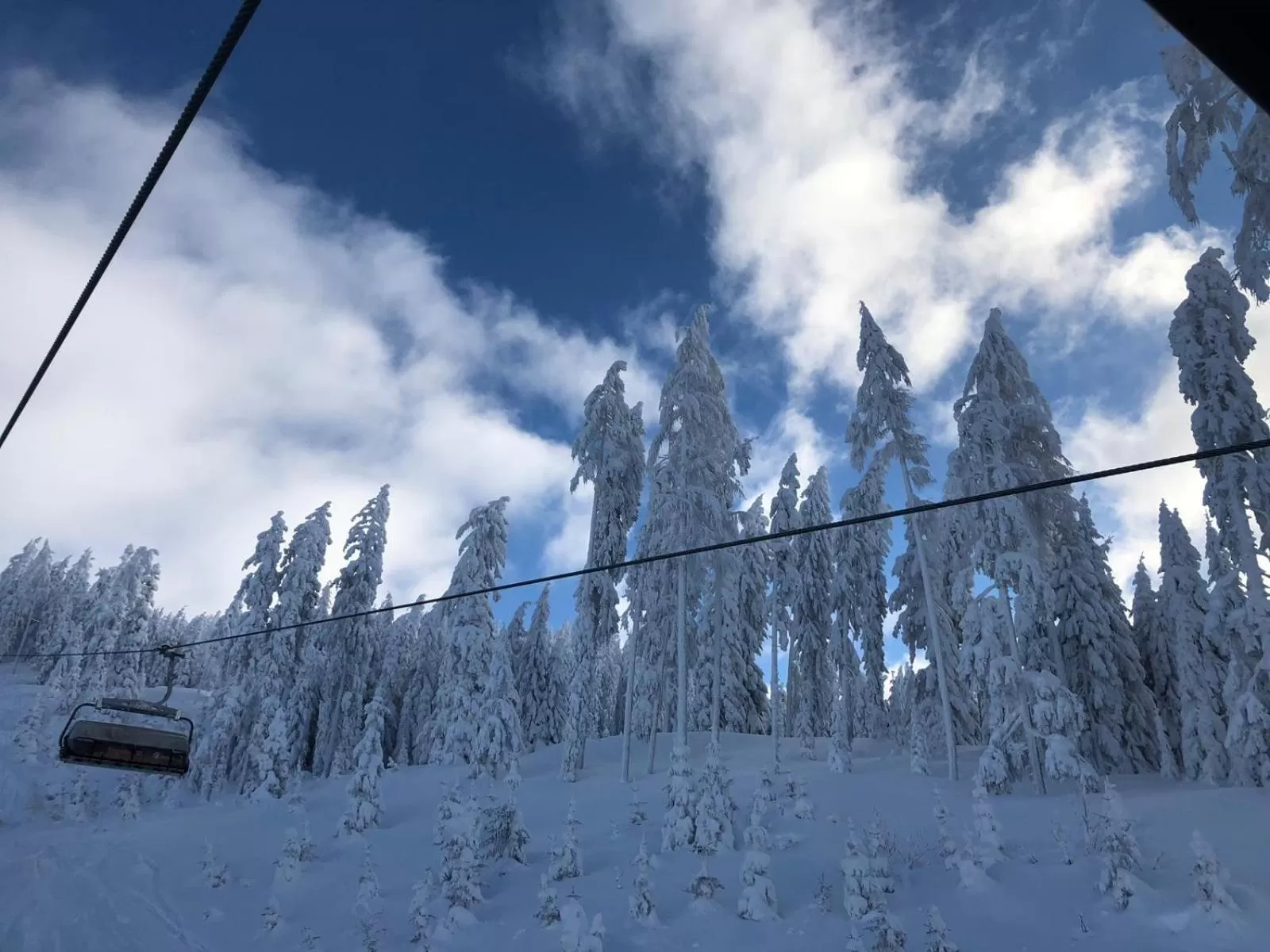 Winter in Apparthotel Restaurant Steiners