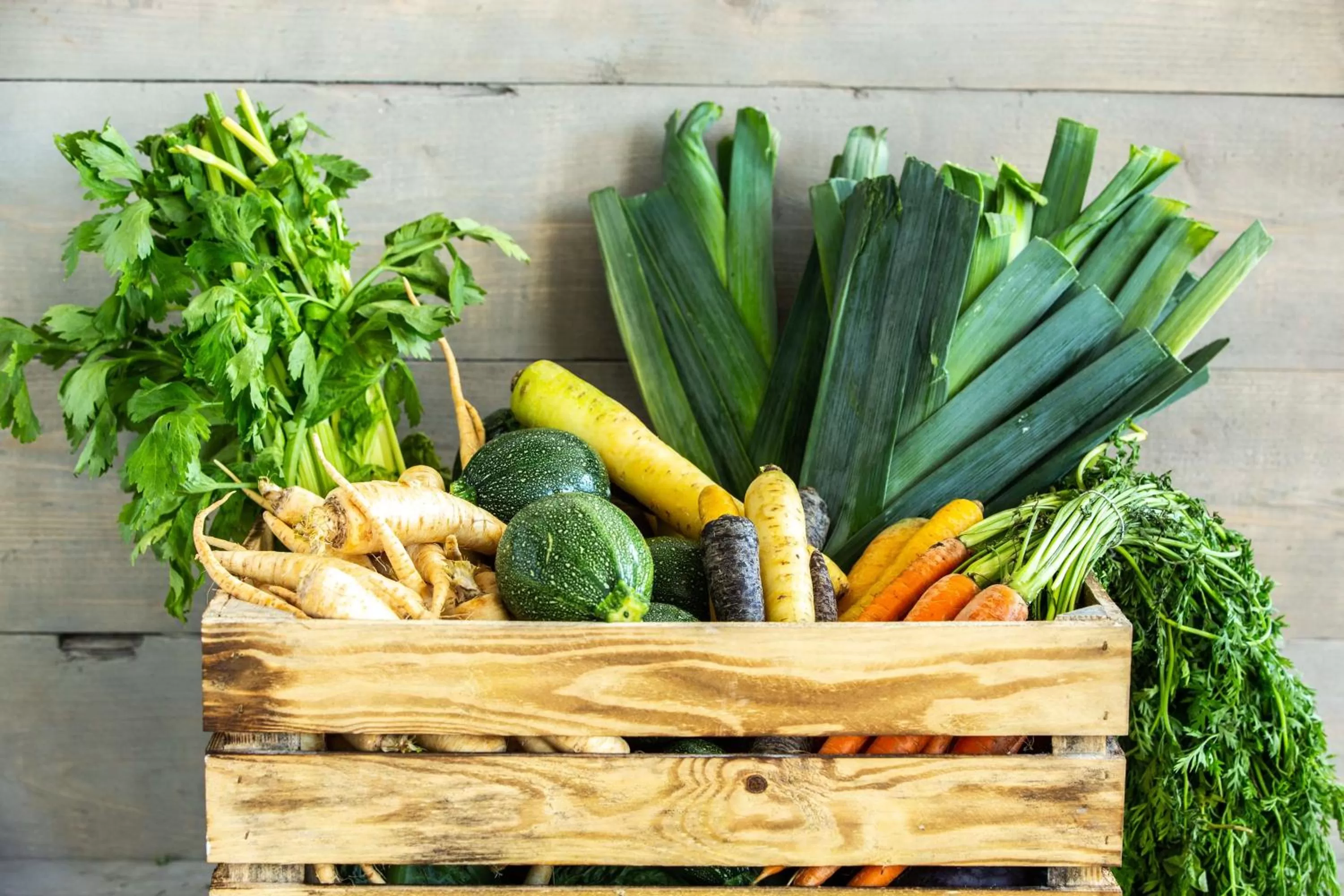 Other in Radisson Blu Hotel, Antwerp City Centre