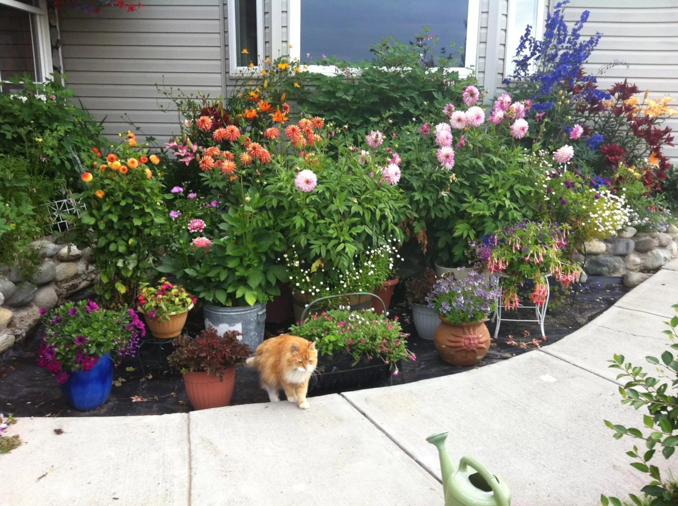 Facade/entrance in Fishhook Sunrise B&B