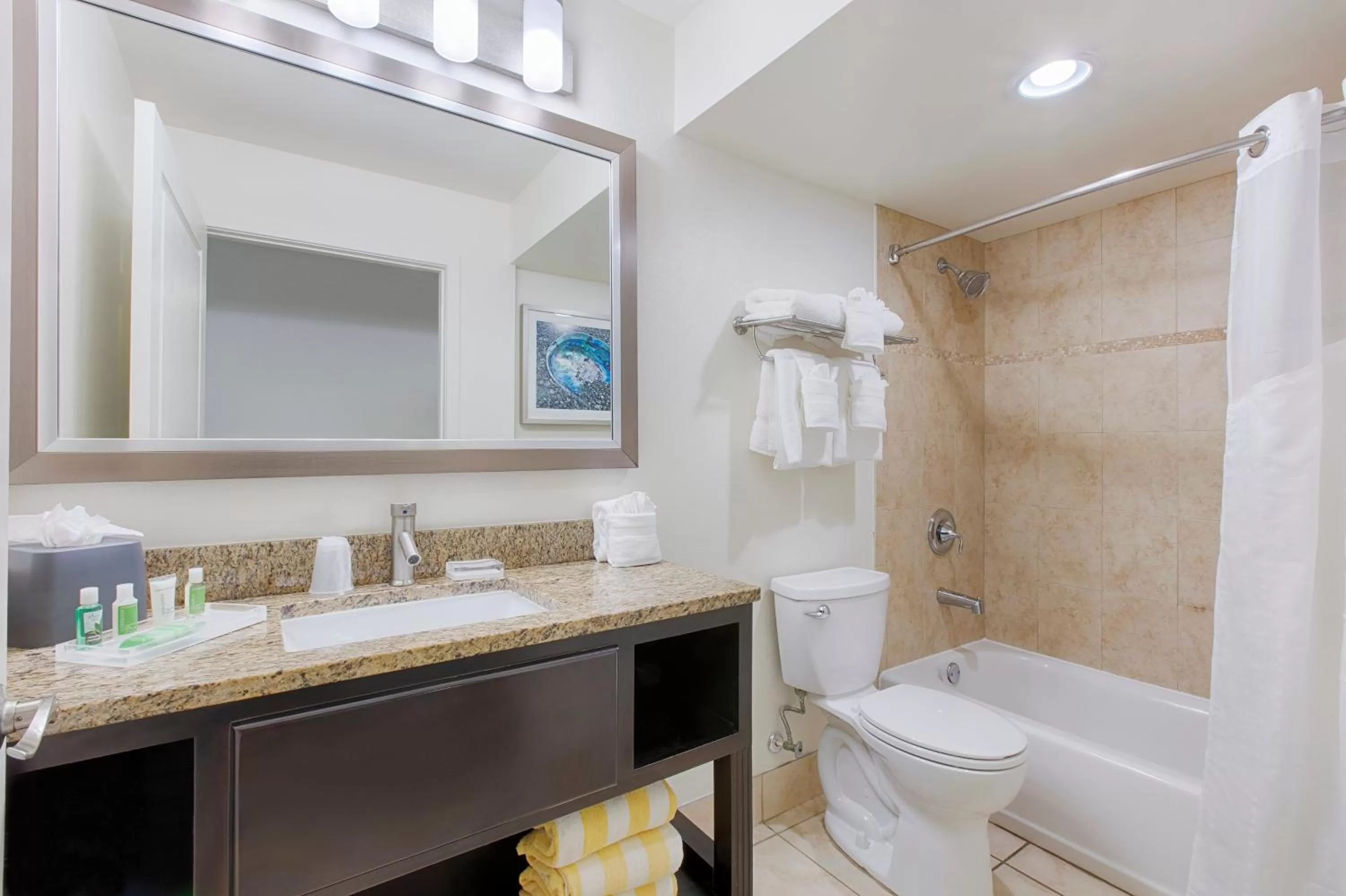 Bathroom in Holiday Inn Resort Daytona Beach Oceanfront by IHG