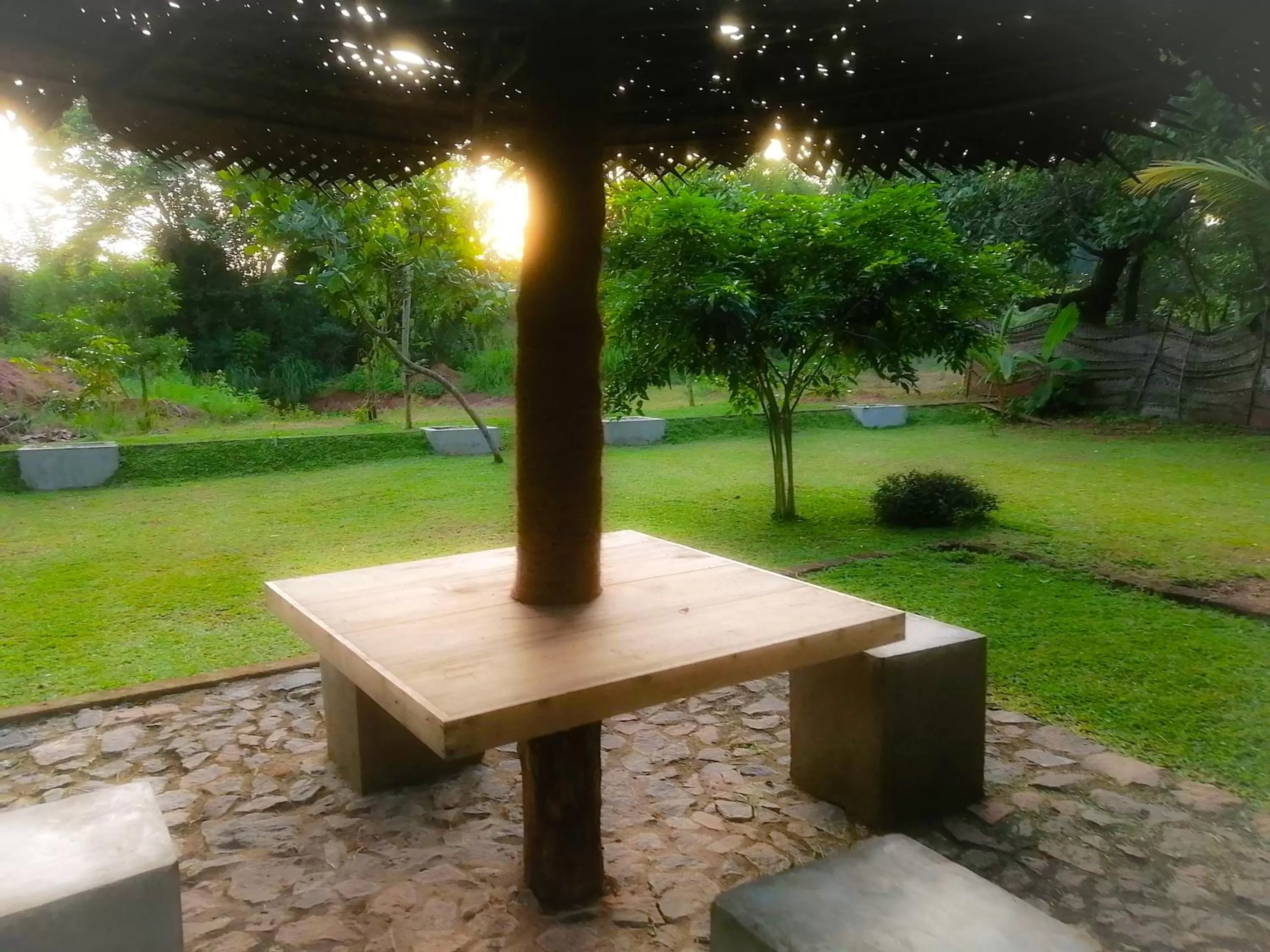 Garden in Green Cottage