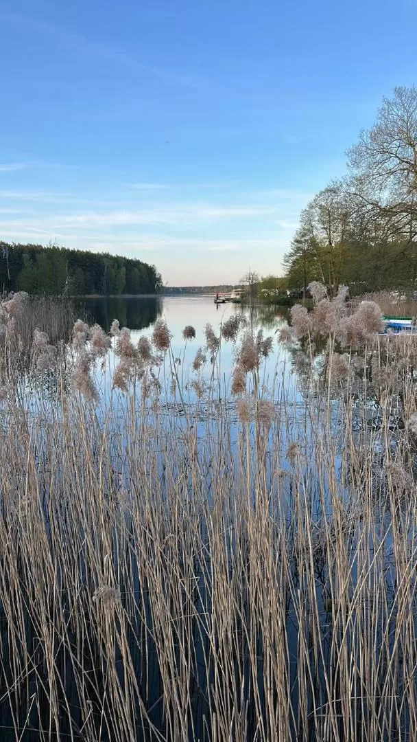 Leśna Residence & SPA