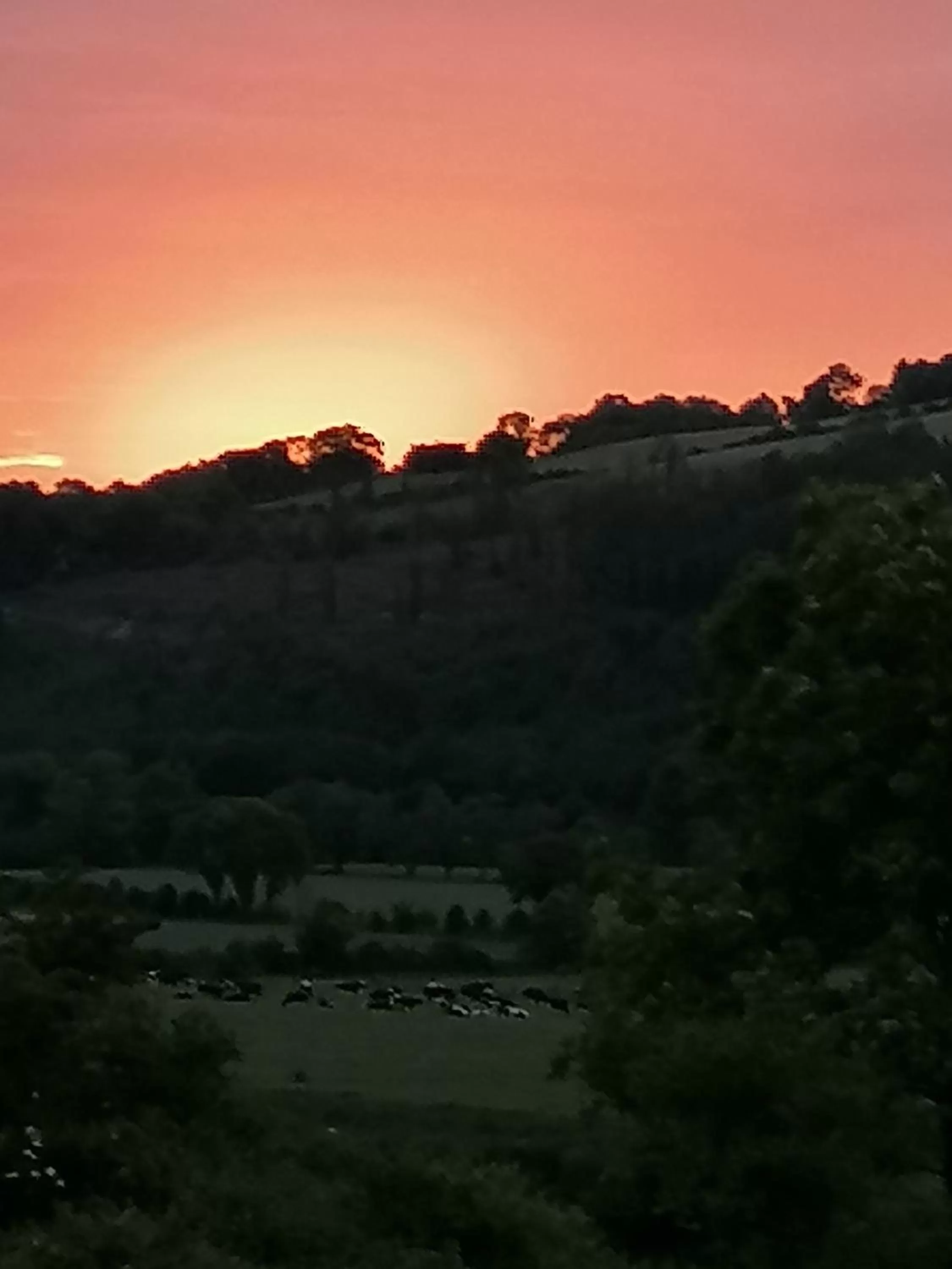 Cable Island Bed and Breakfast