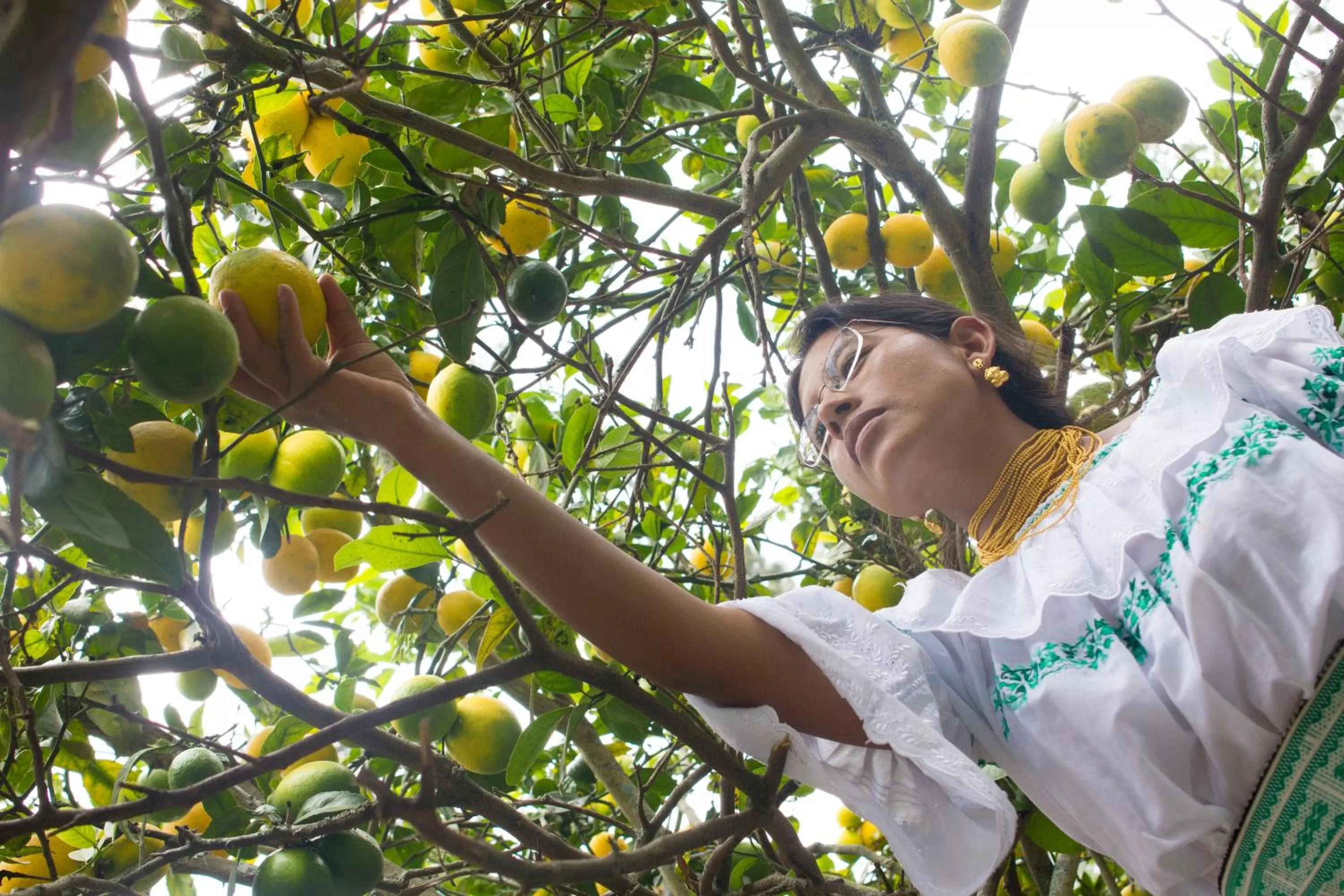 Other, Spa/Wellness in Kallpa Wasi