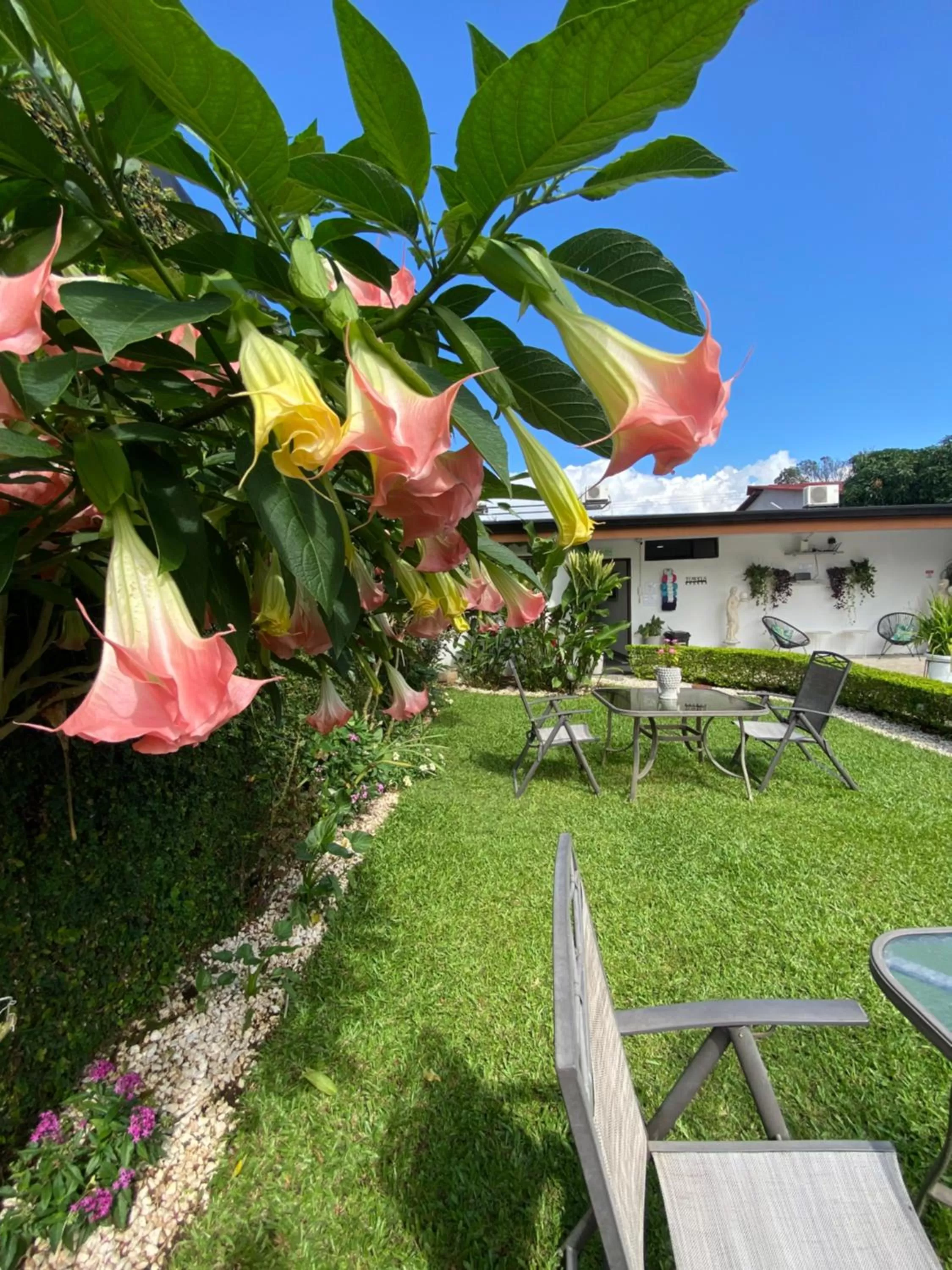 Garden in Berlor Airport Inn