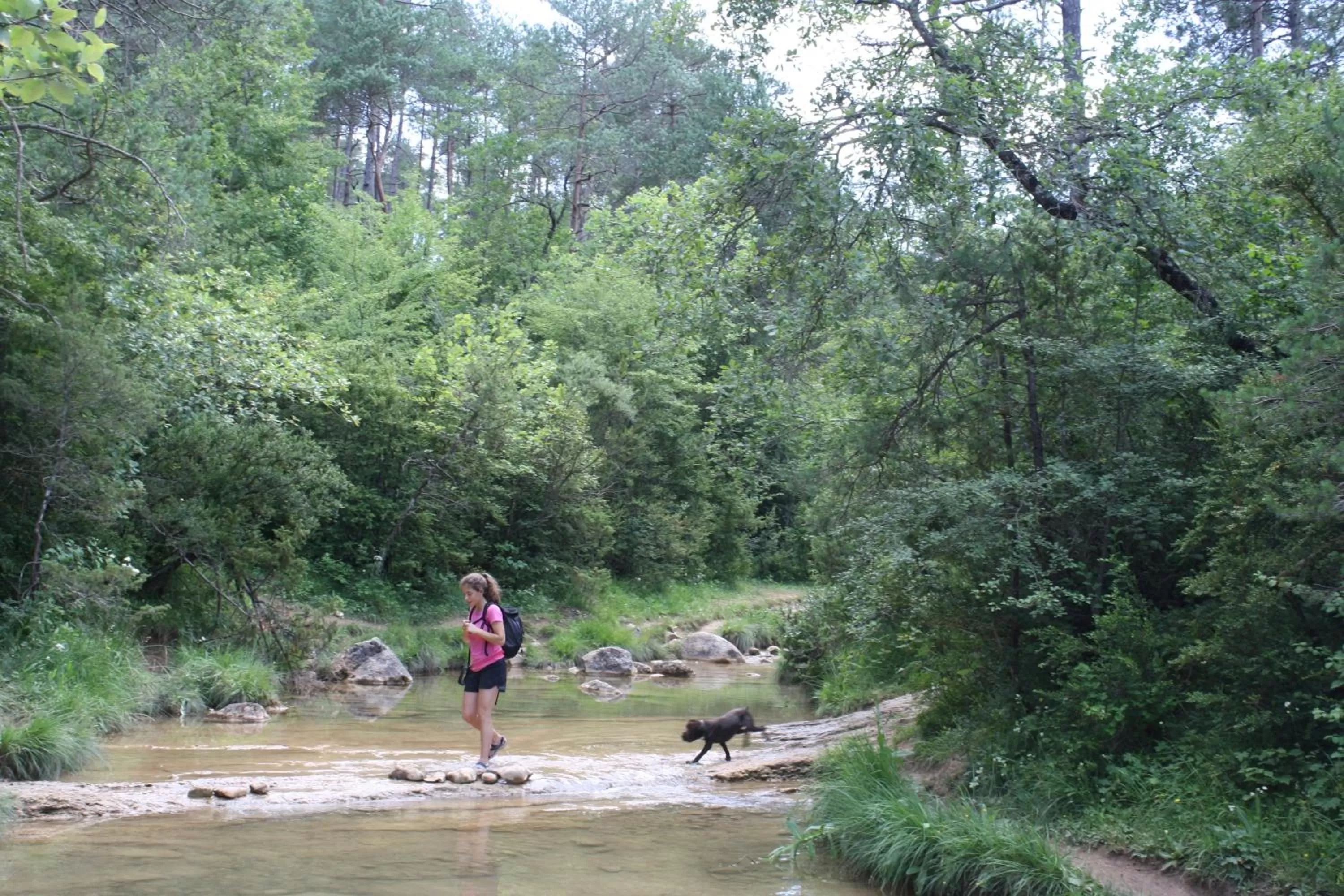 Nearby landmark in La Trobada Hotel Sport