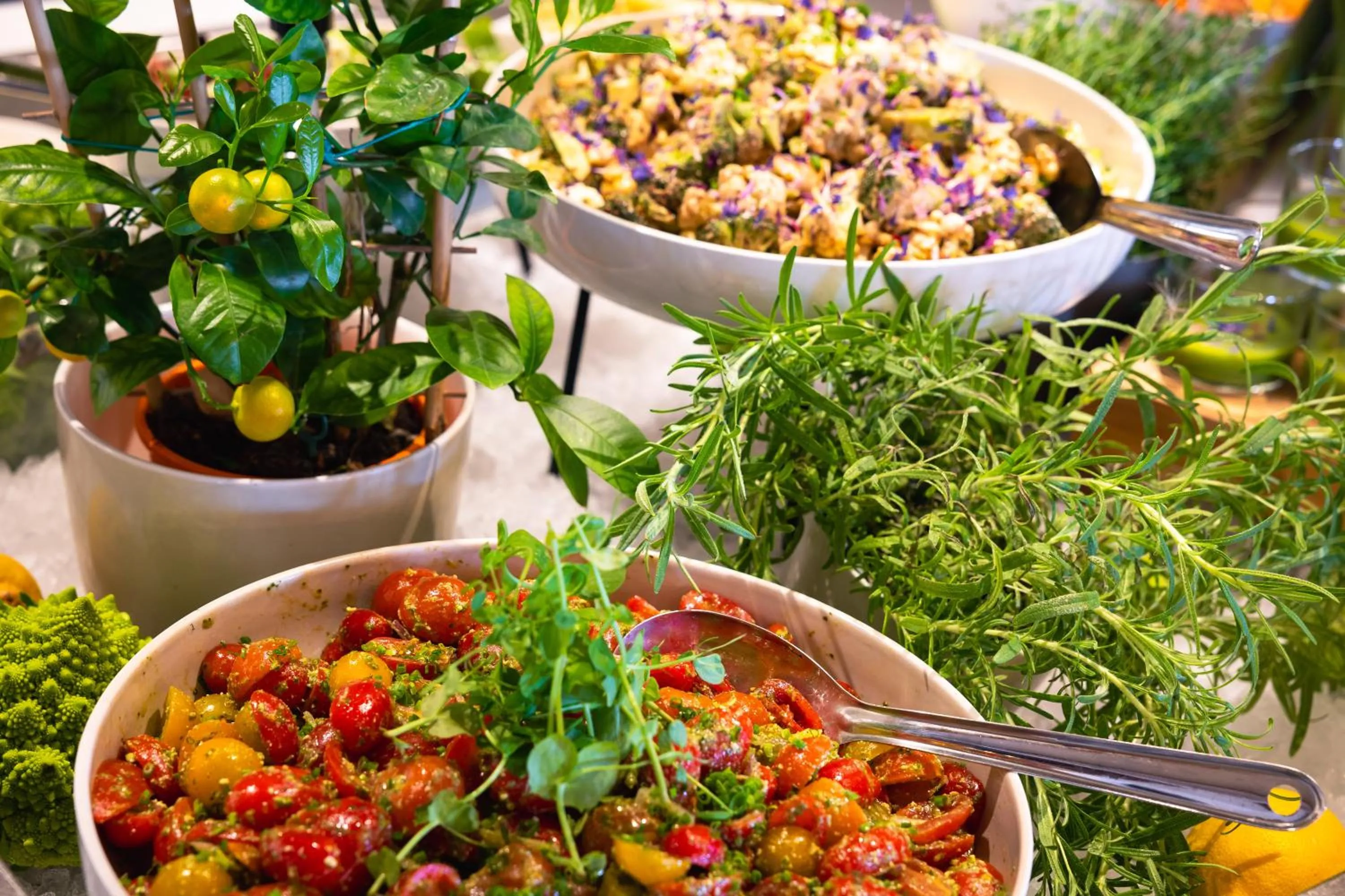 Food in Quality Hotel Leangkollen