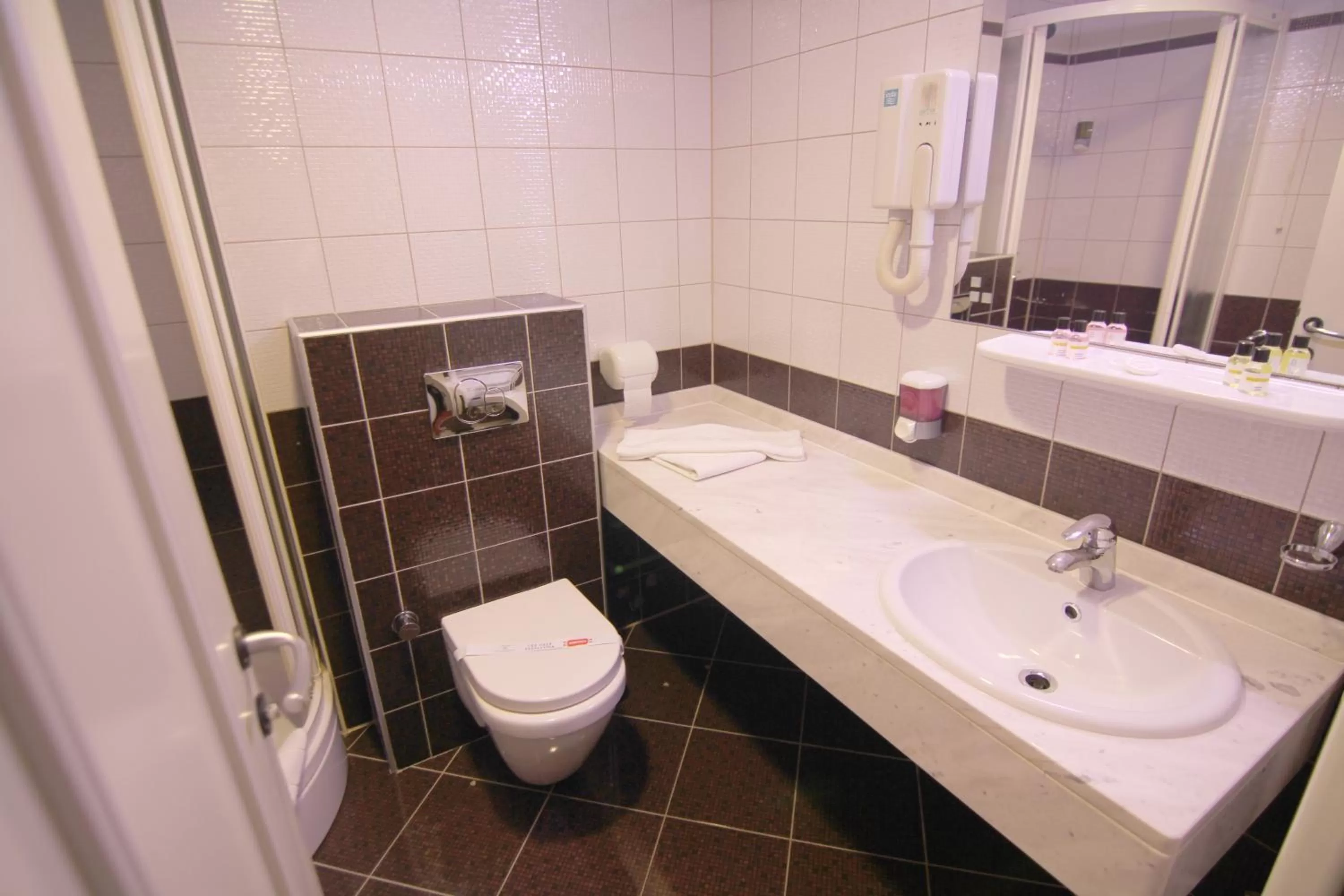 Toilet in Hollywood Hotel