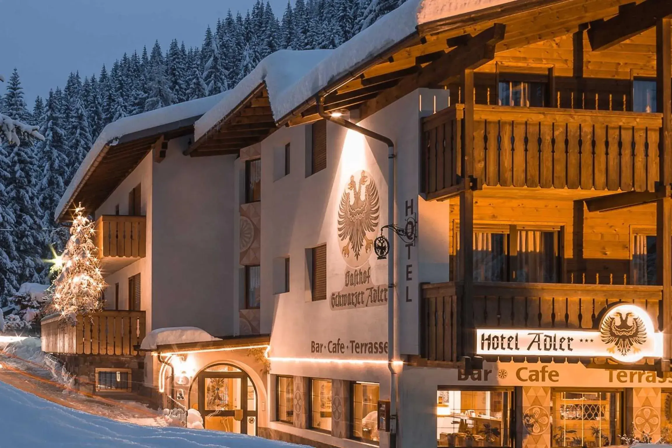 Hotel ADLER Carezza Hotel ADLER Carezza