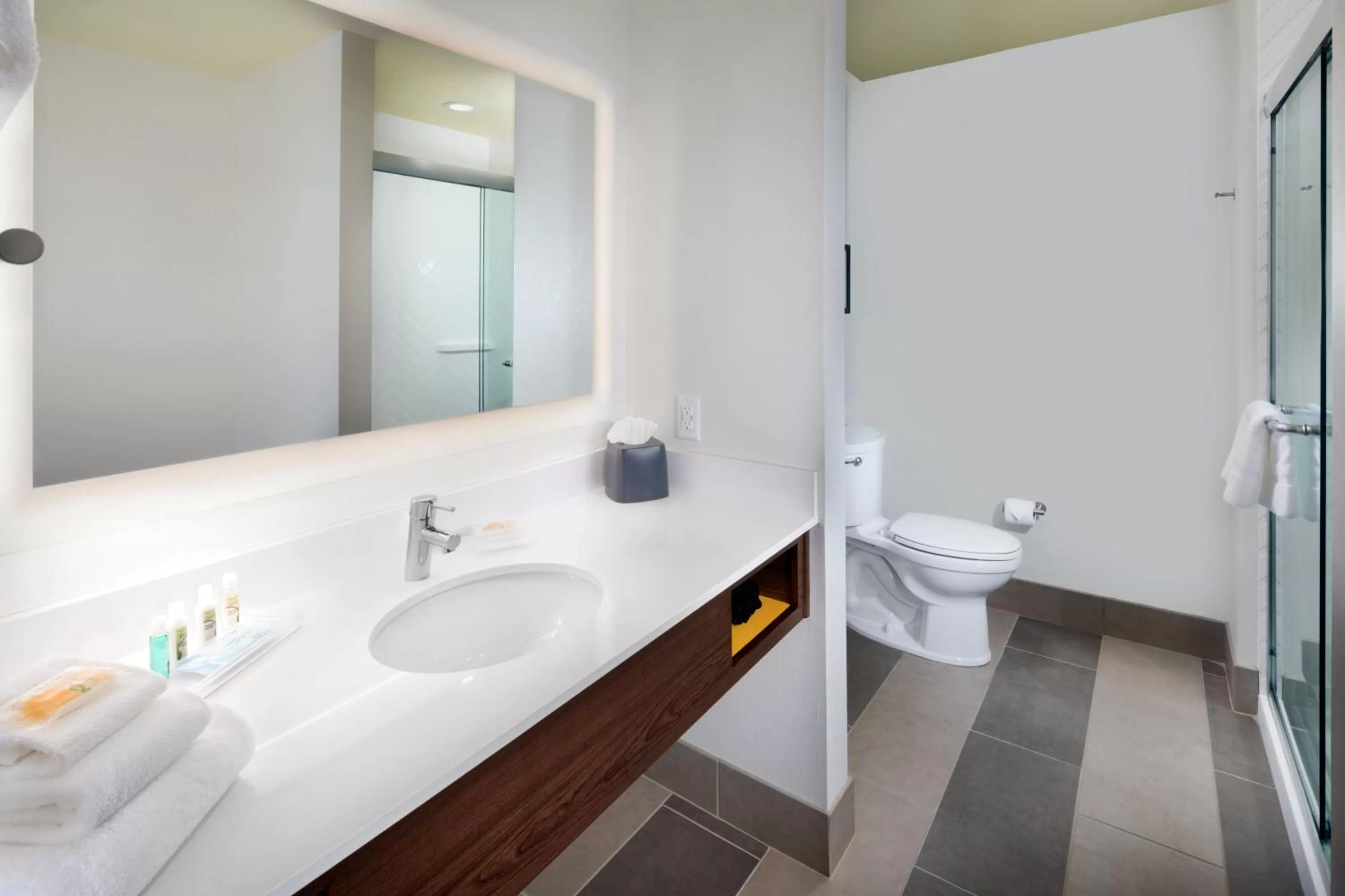 Bathroom in Holiday Inn & Suites Arden - Asheville Airport by IHG