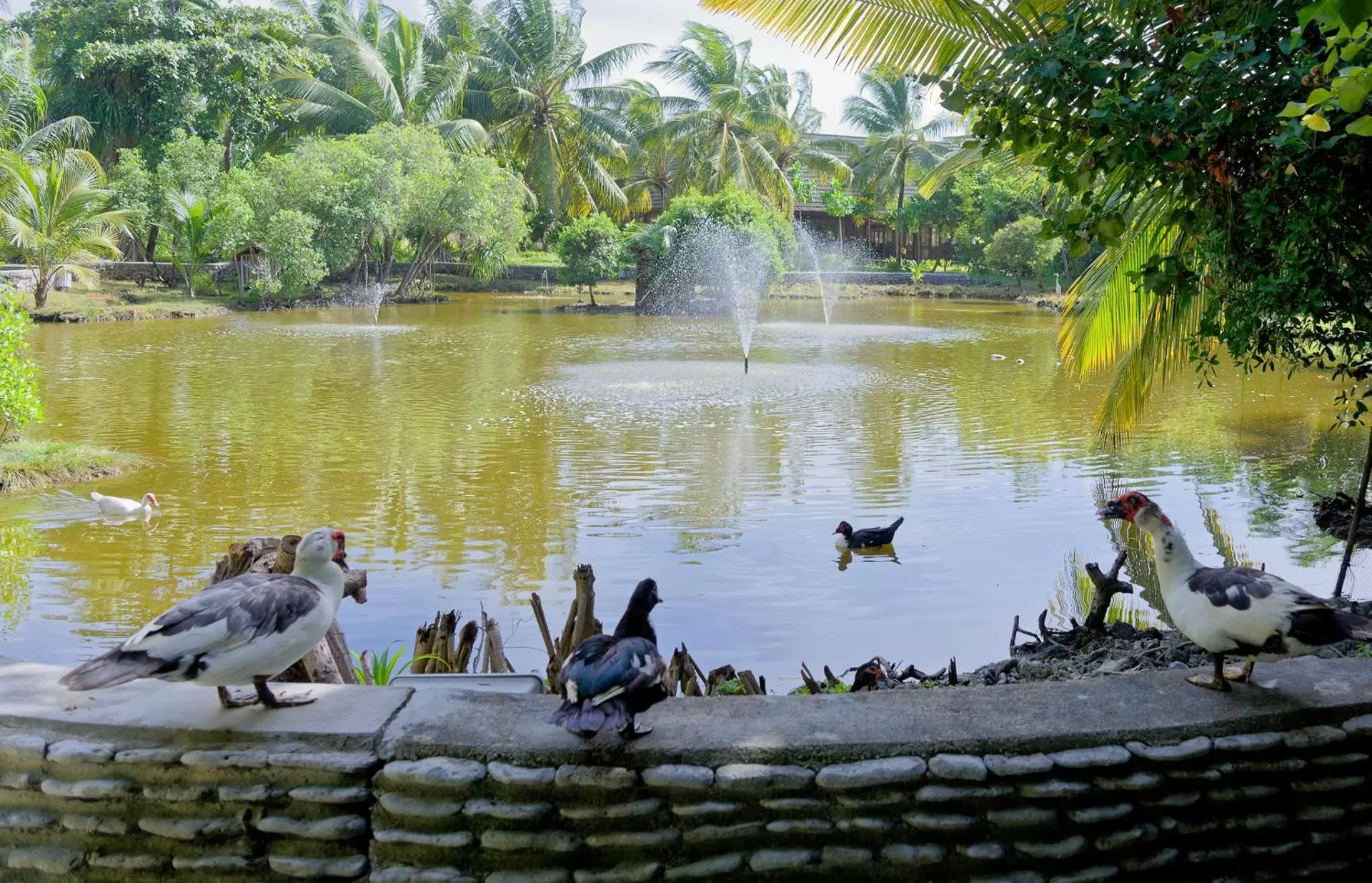 Day in Canareef Resort Maldives