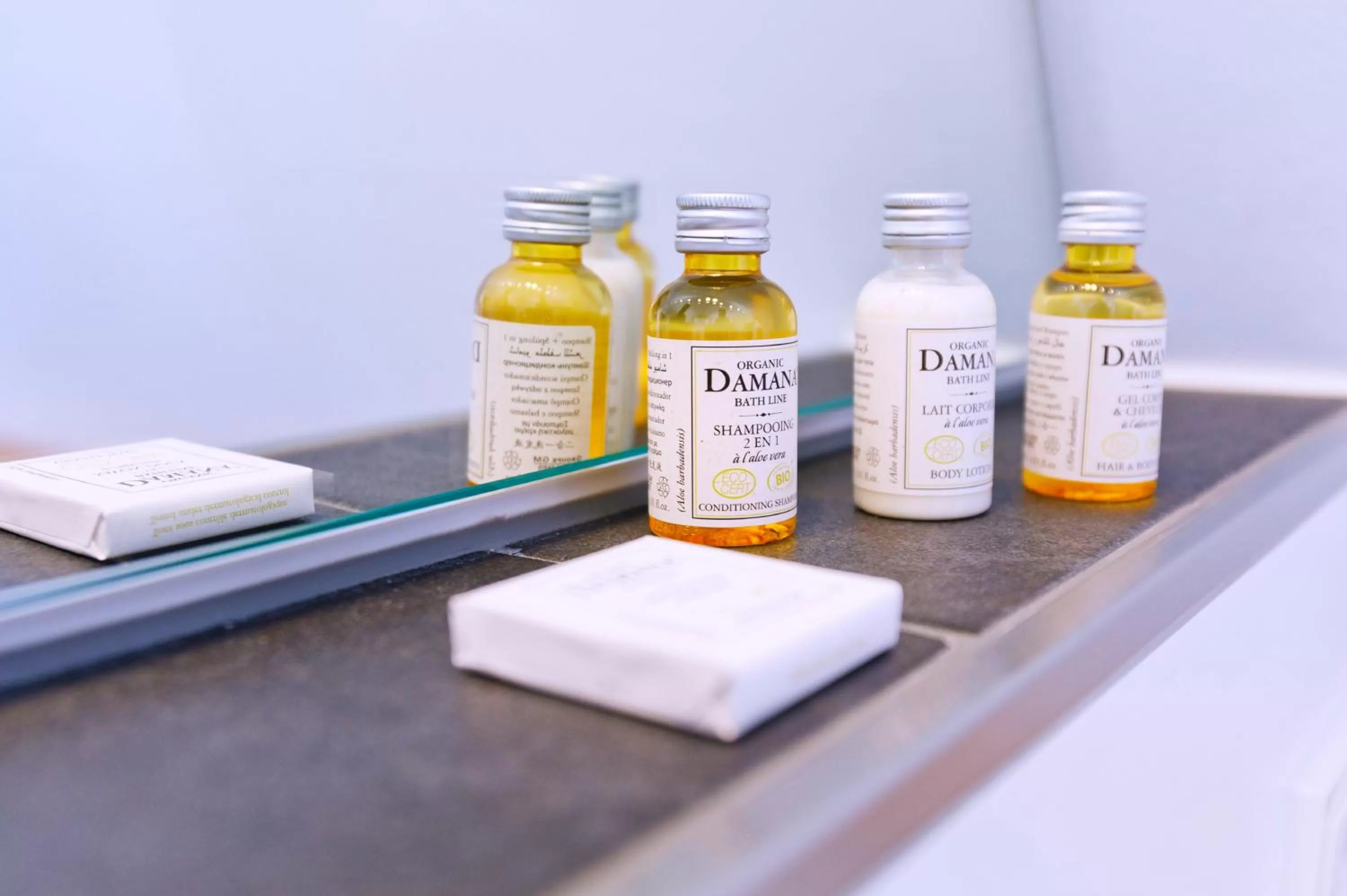 Decorative detail in Logierhaus RheintorEins