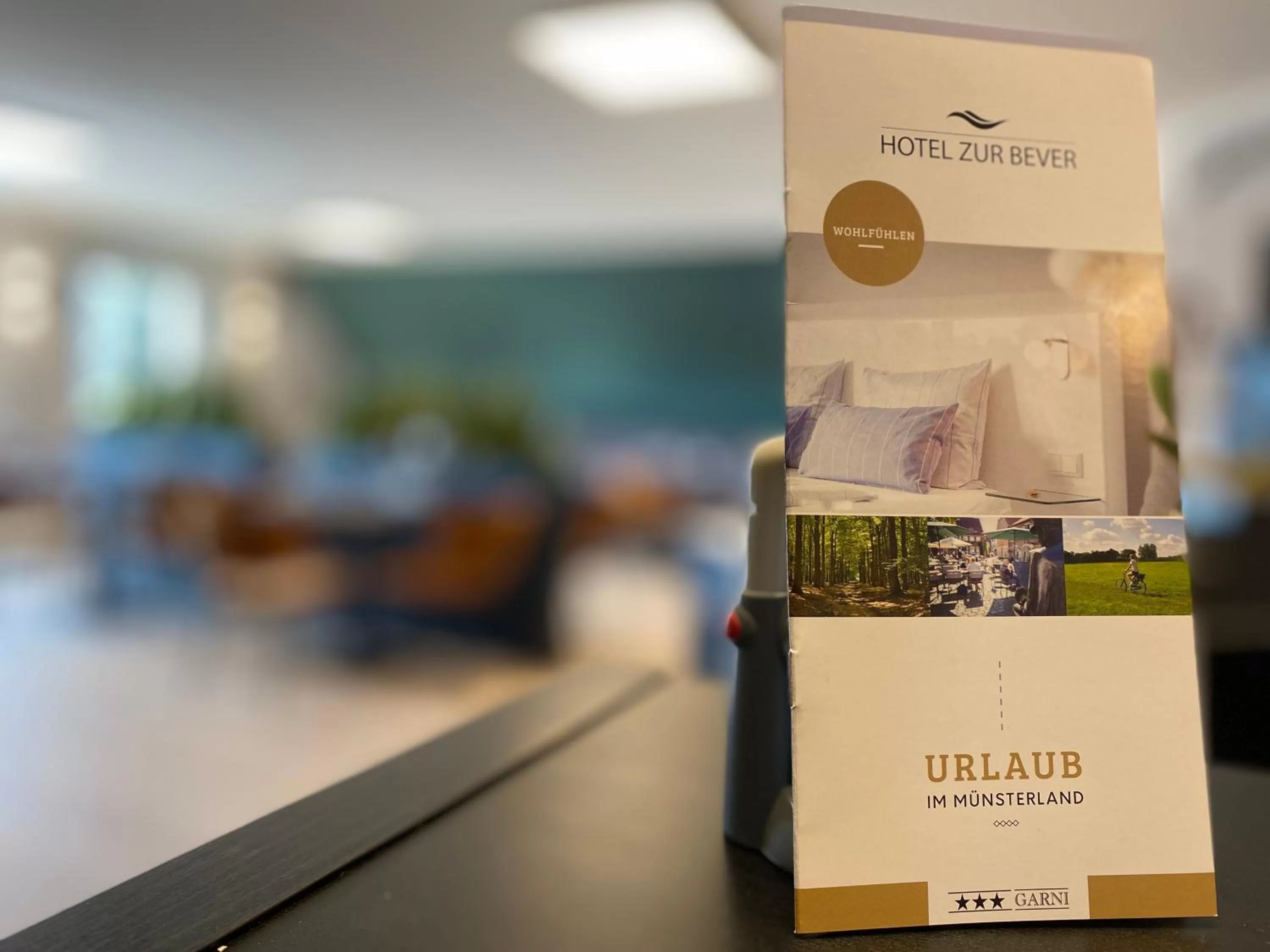 Other in Hotel zur Bever