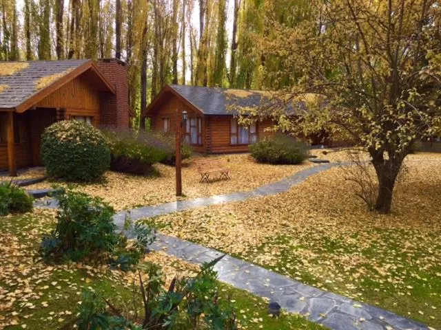View (from property/room) in Santa Monica Aparts