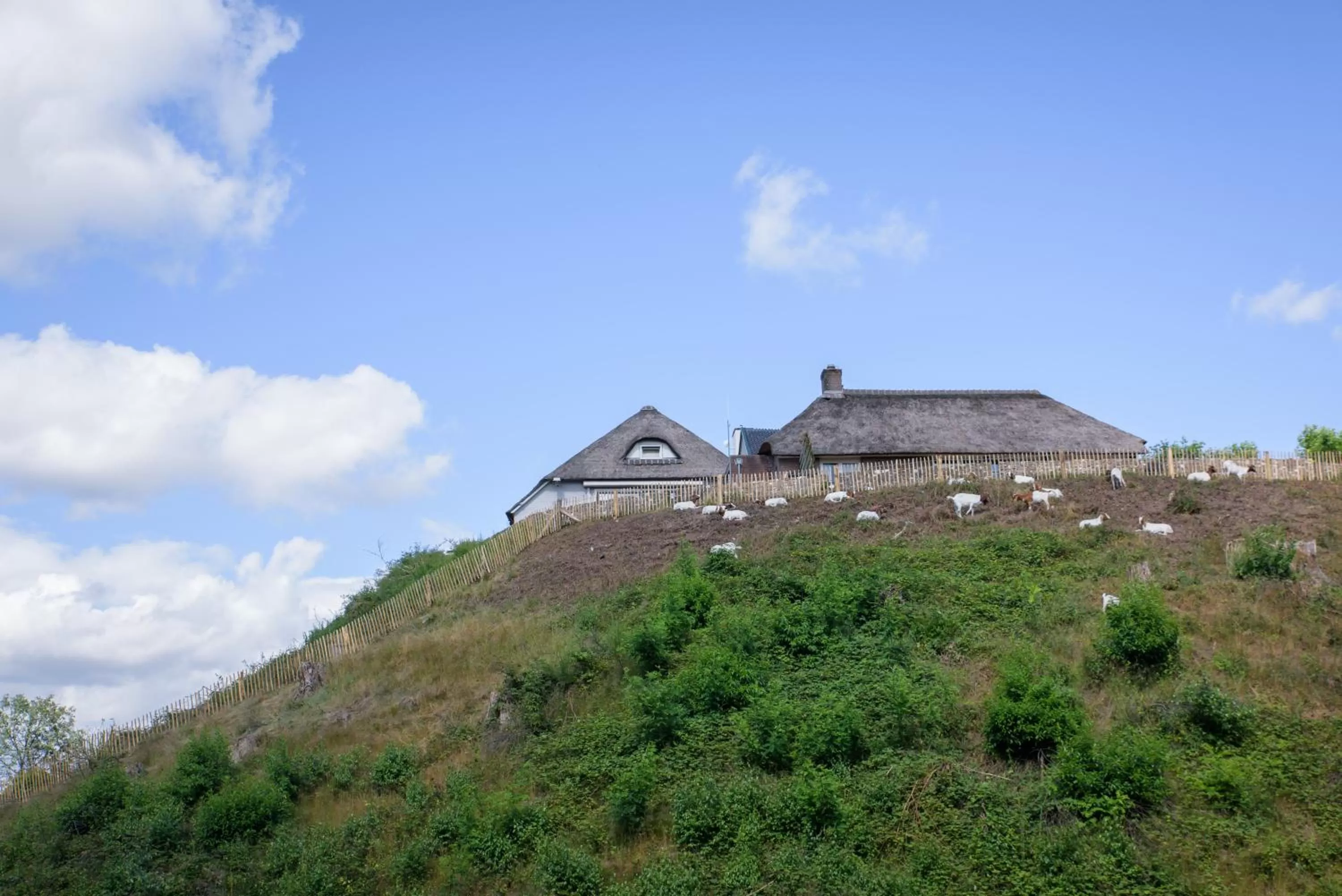 Property Building in Het Montferland