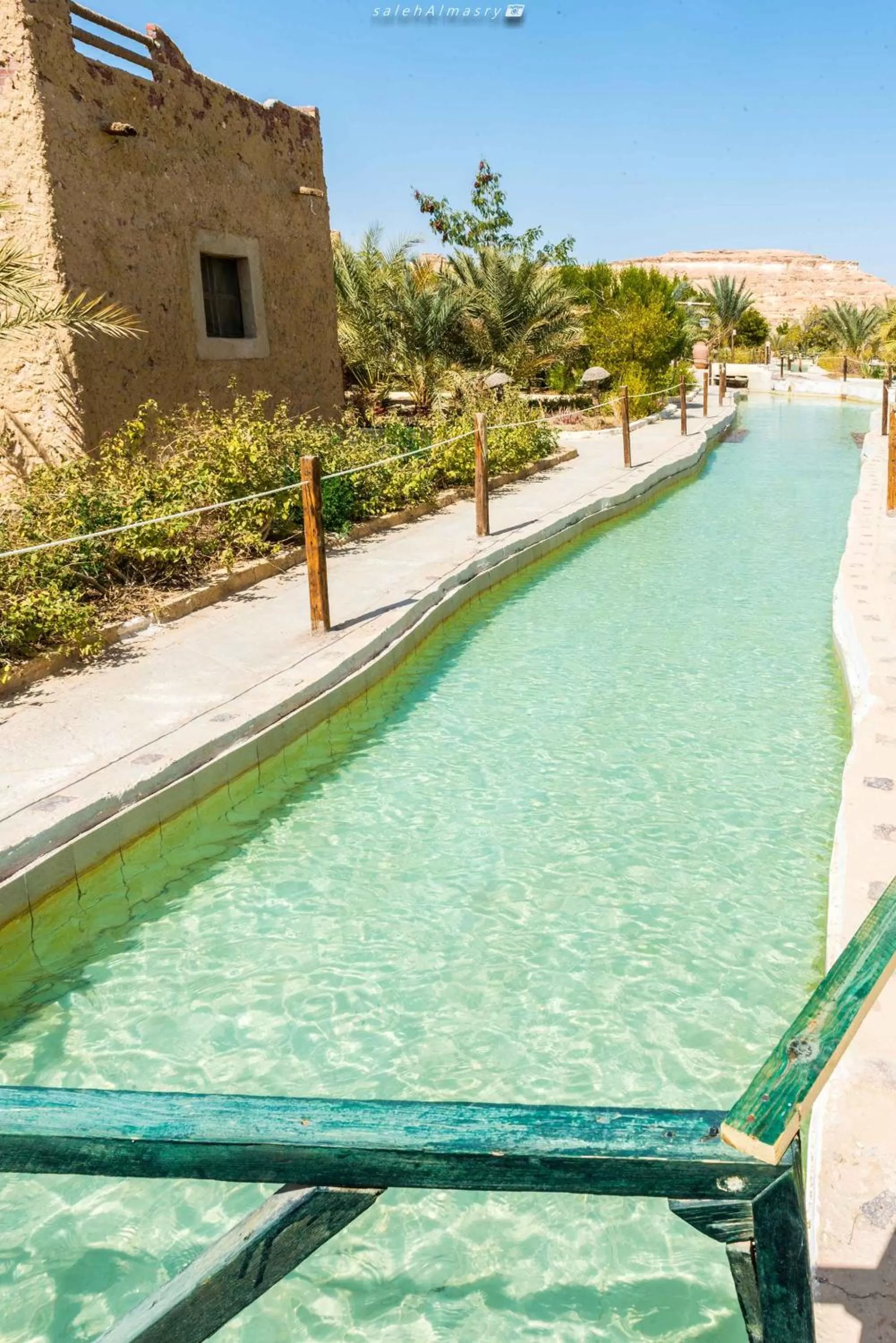 Pool view in Siwa Shali Resort