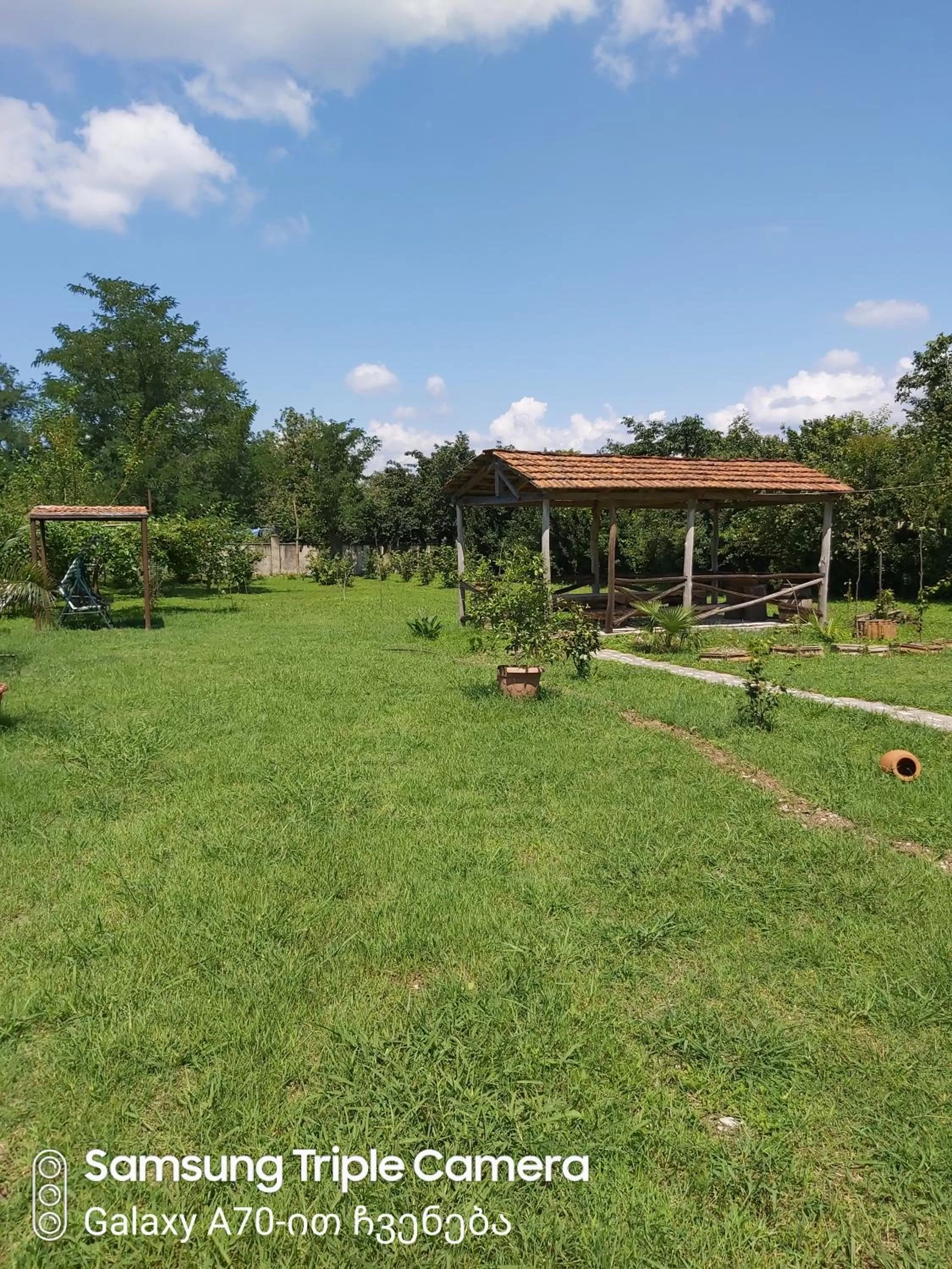 Garden in Martvili Newhotel