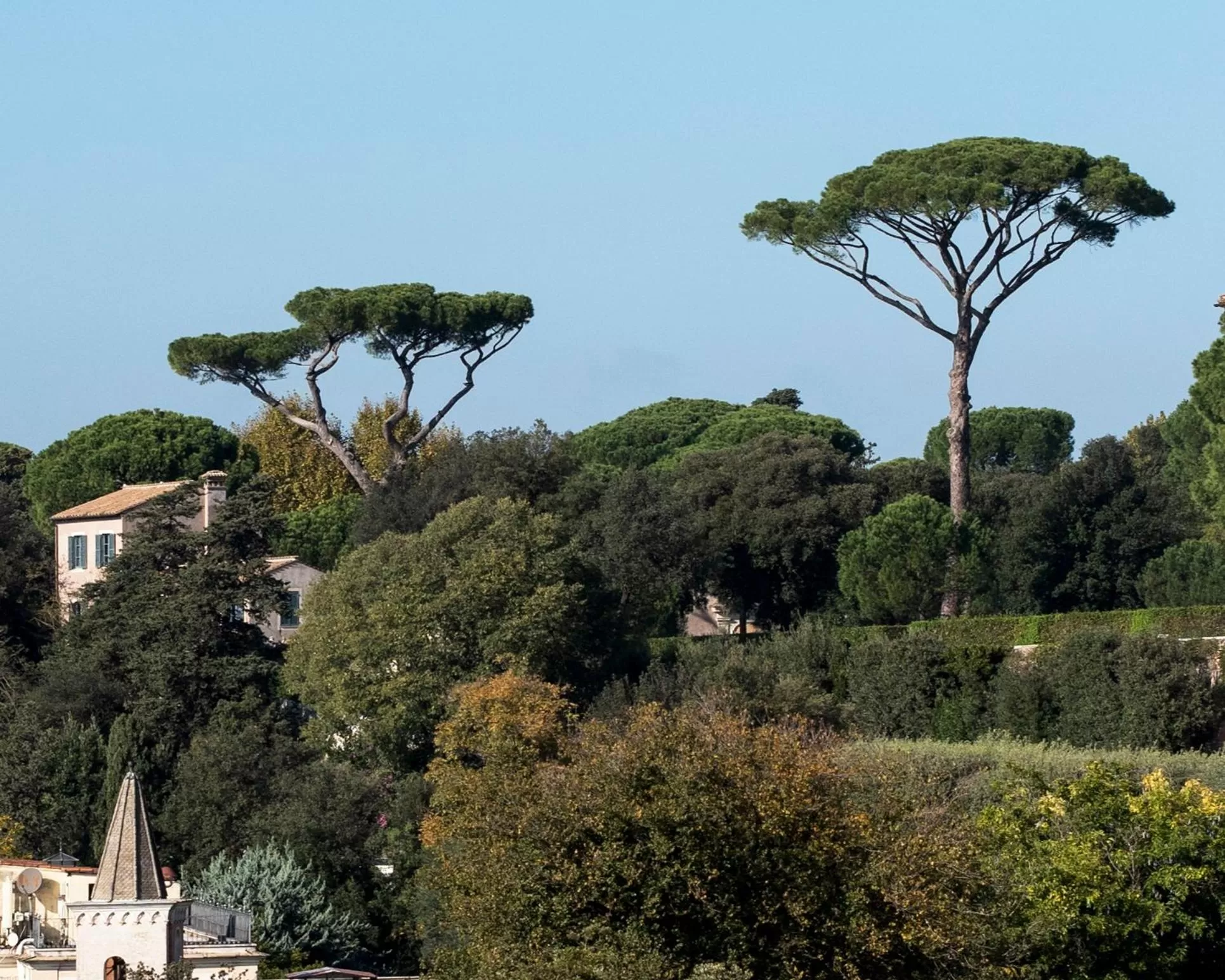 Photo of the whole room in Hotel Scalinata Di Spagna