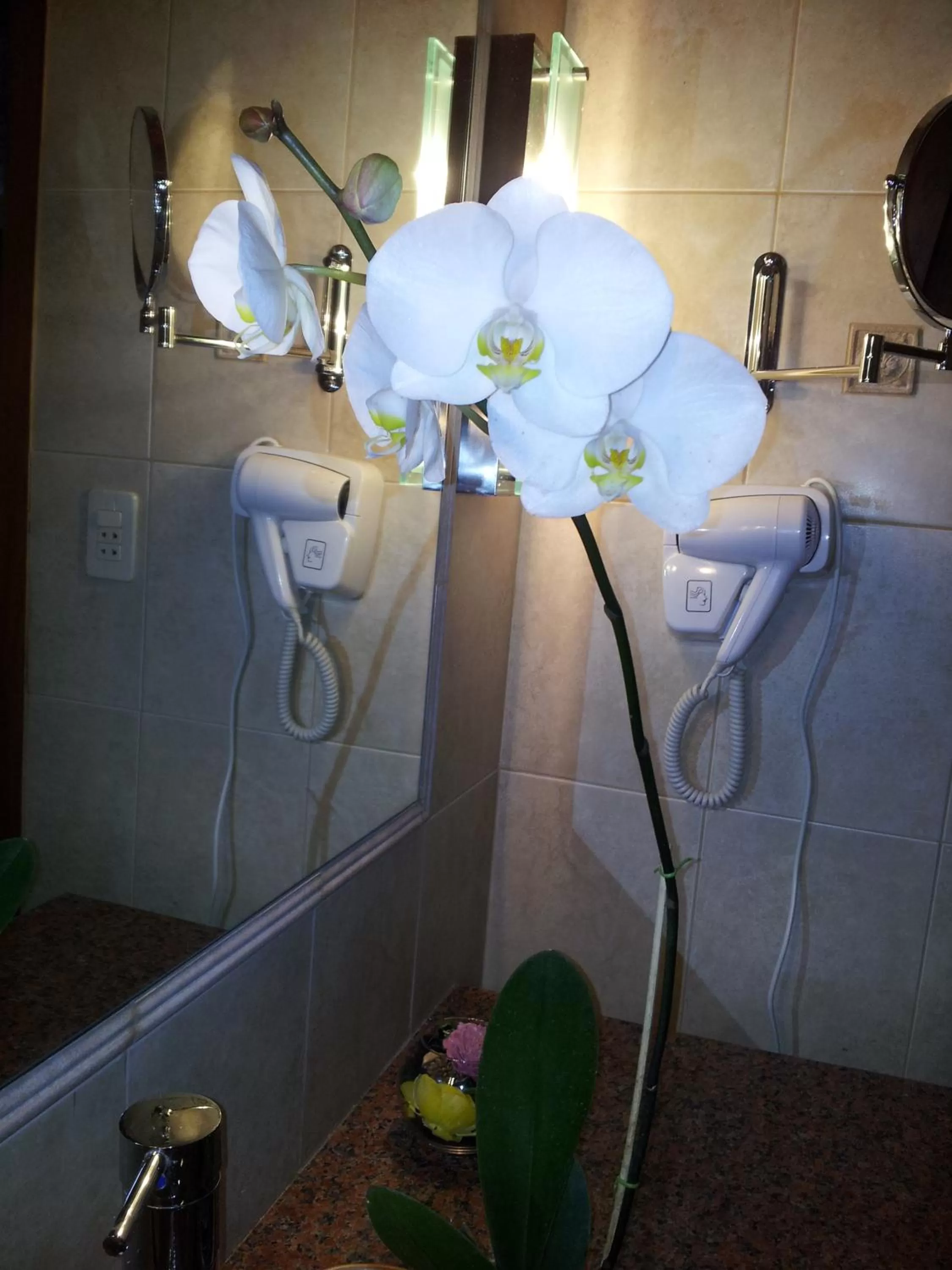 Double Room in Villa Floreal Hotel Boutique