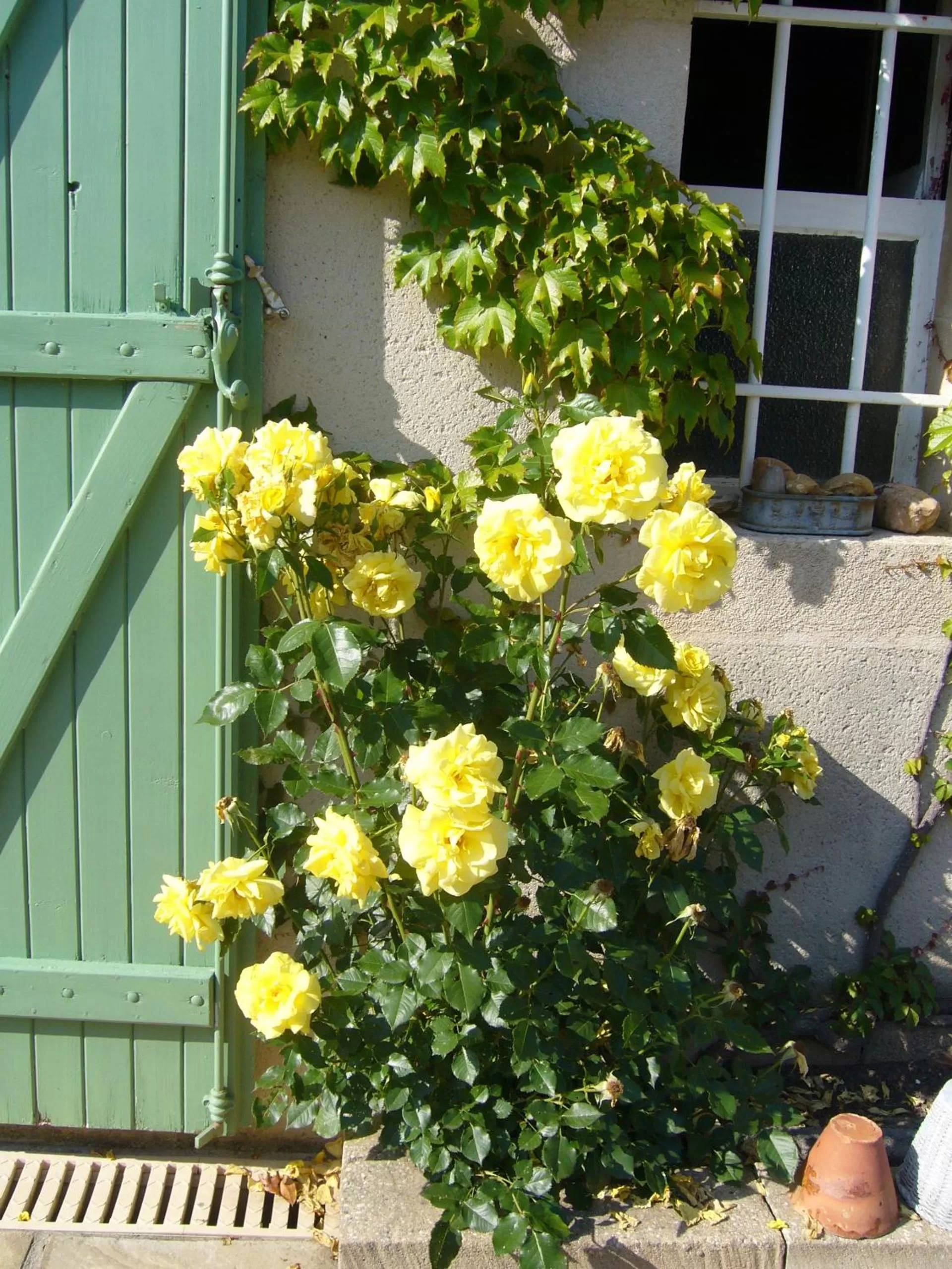 Garden view in Chambres d'Hôtes Le Mas