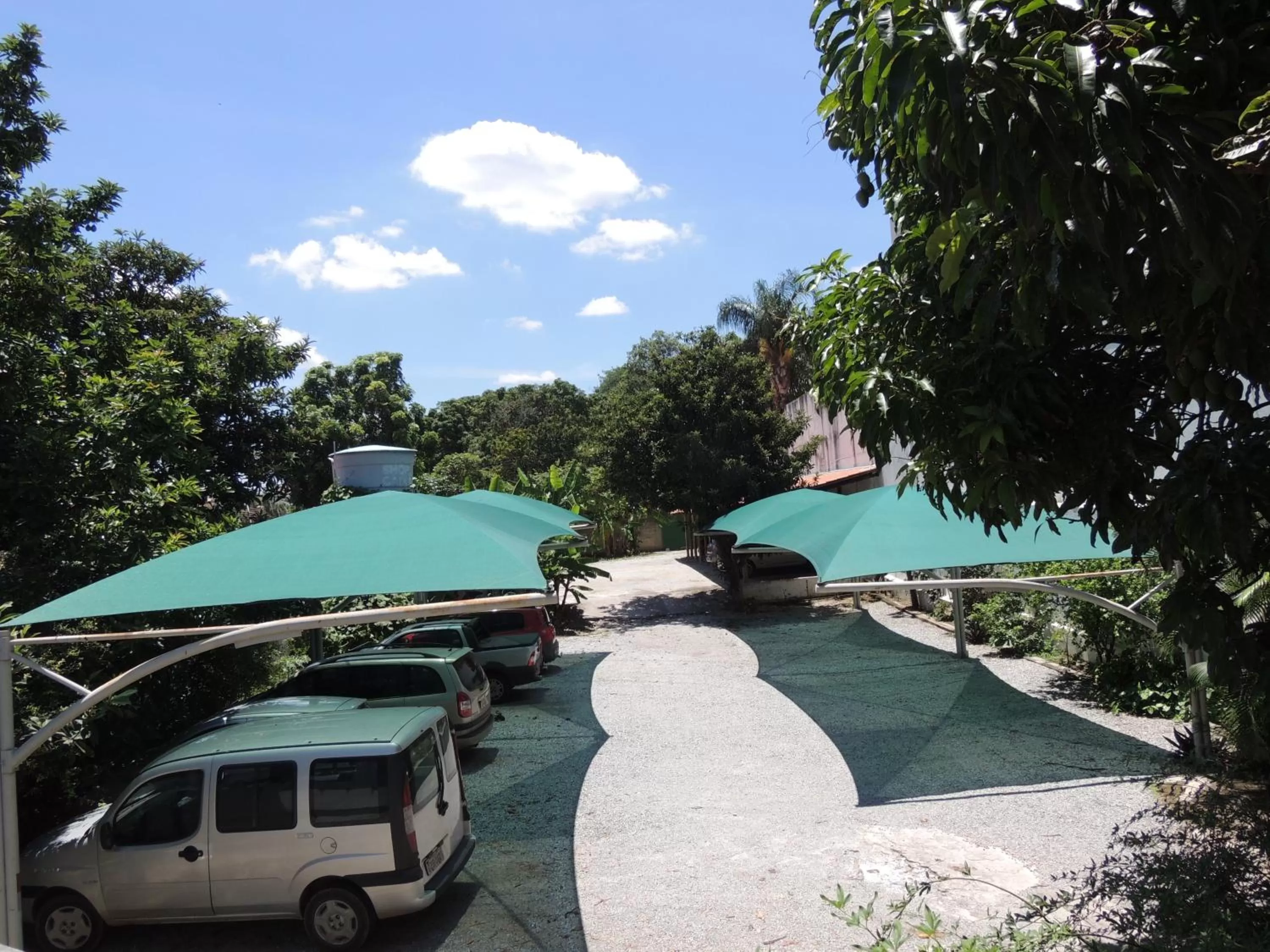 Pool View in Hotel Primavera