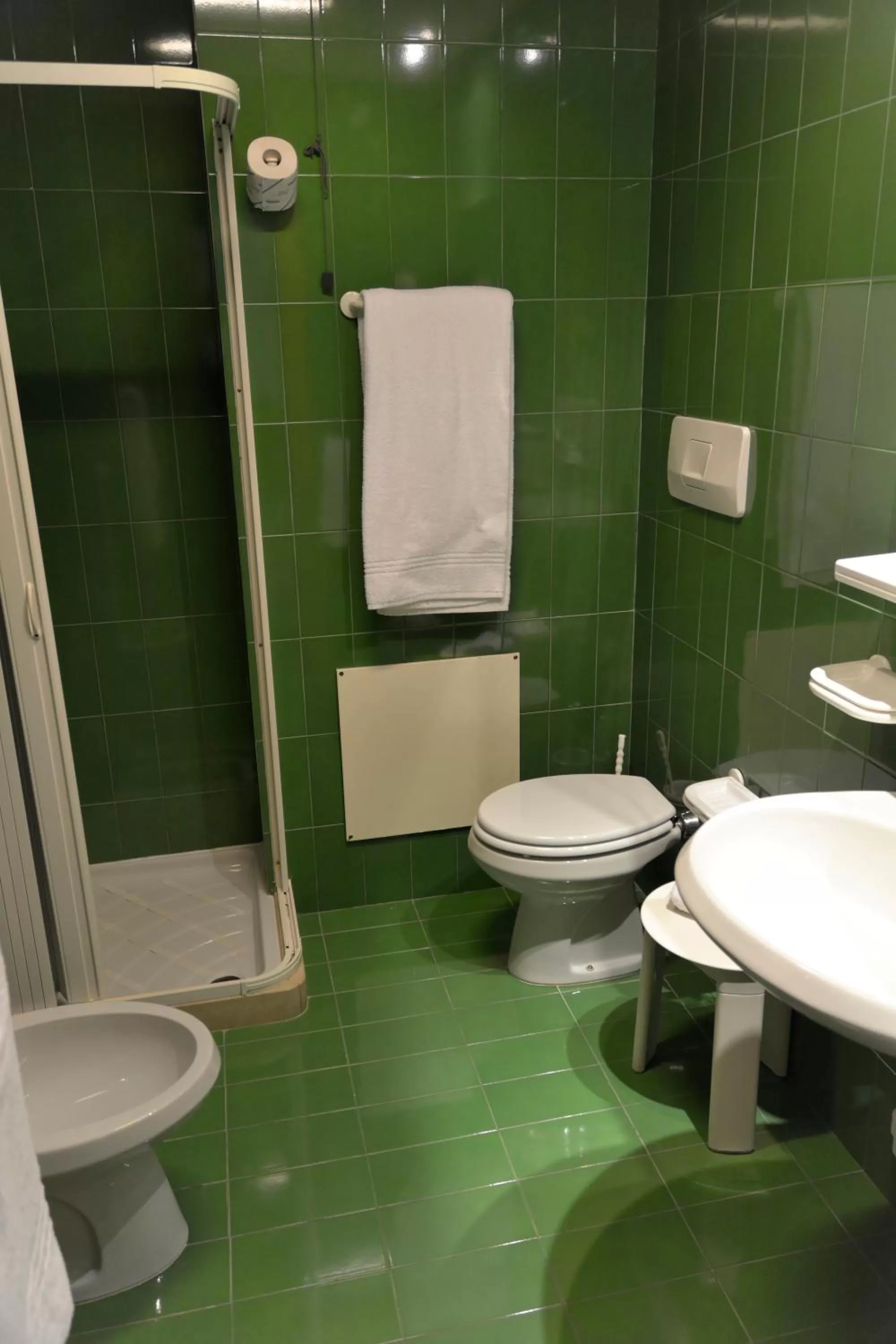 Shower in Grand Hotel Tiziano E Dei Congressi