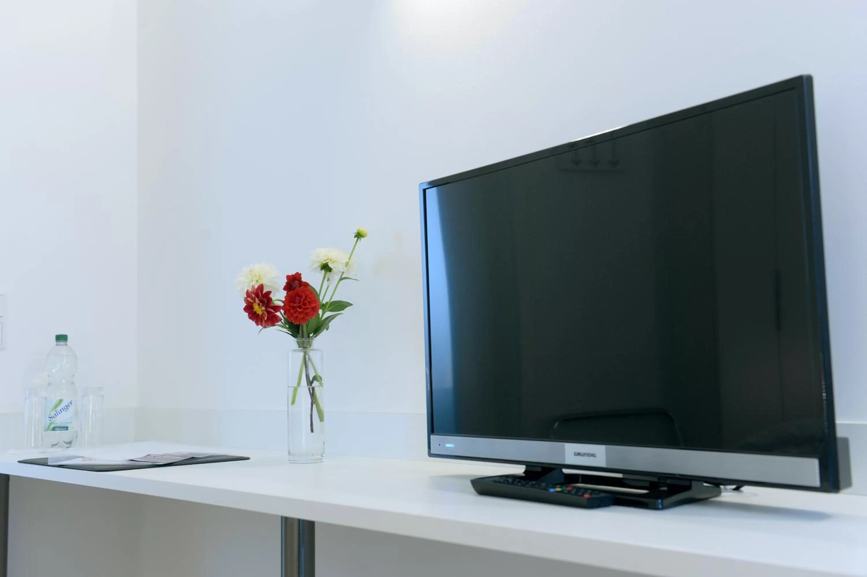 Decorative detail, TV/Entertainment Center in Bed & Breakfast Meerbusch