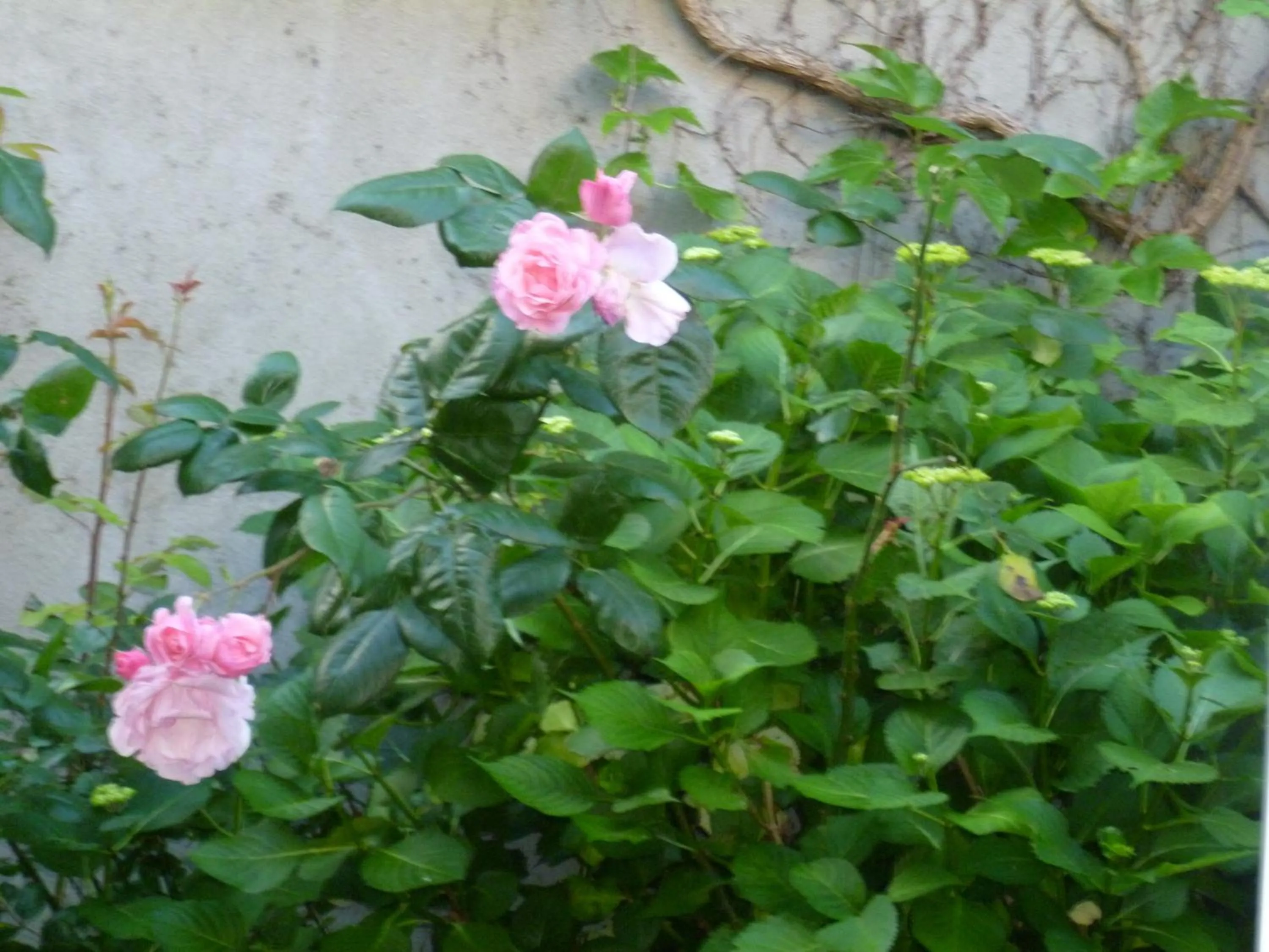 Other in Hôtel Beauséjour