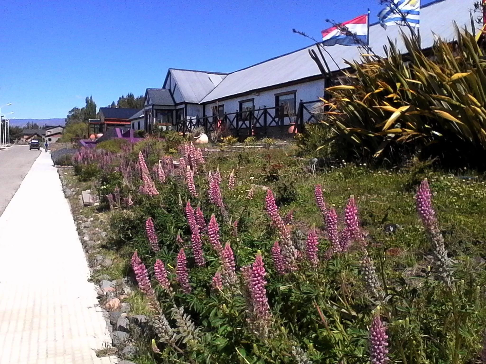 Property Building in Hotel Mora