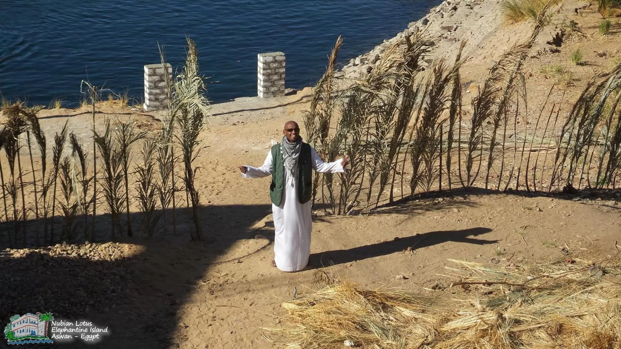 Property building, Other Animals in Nubian Lotus