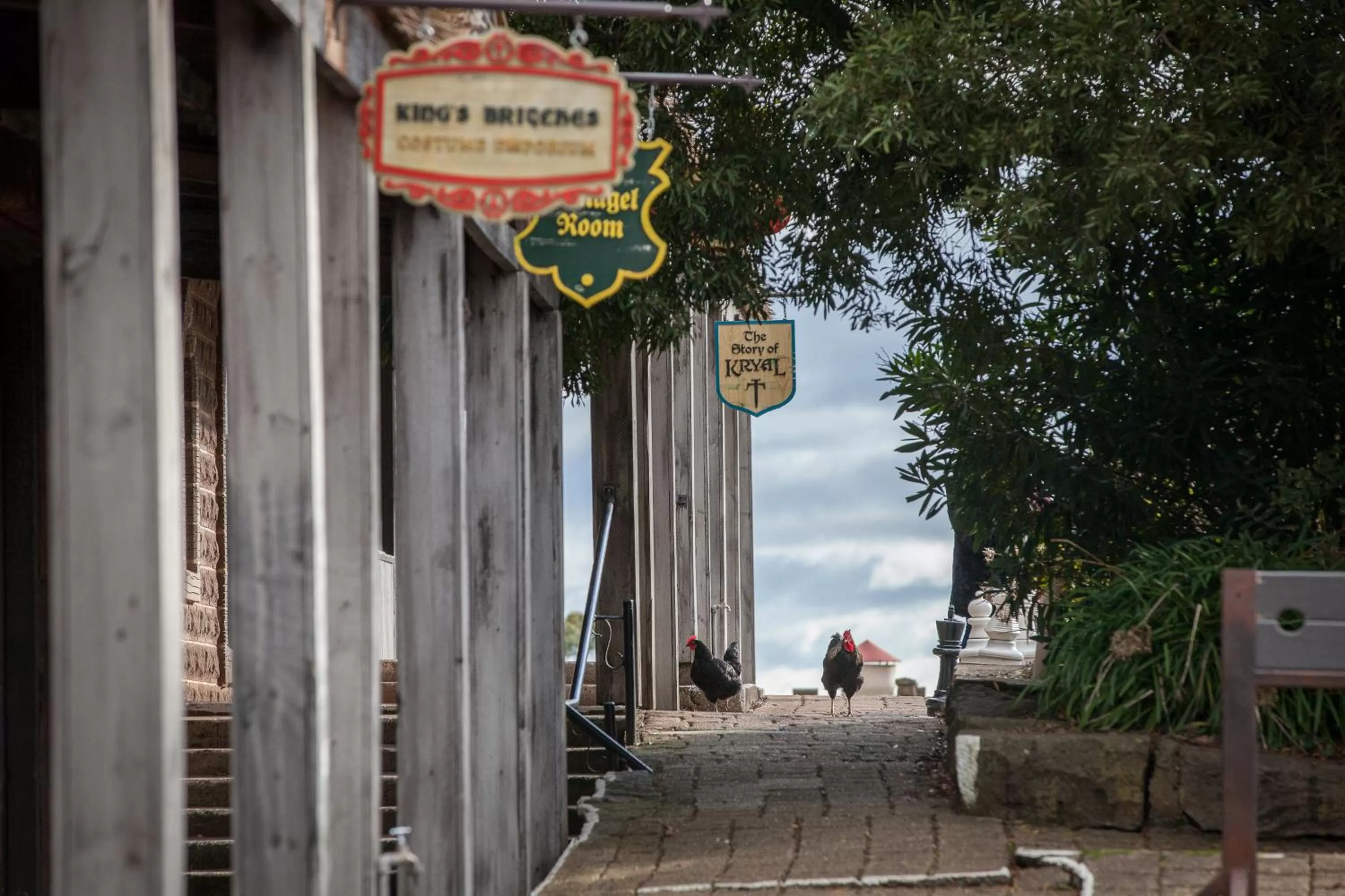 Garden in Big4 Kryal Castle Holiday Park Ballarat