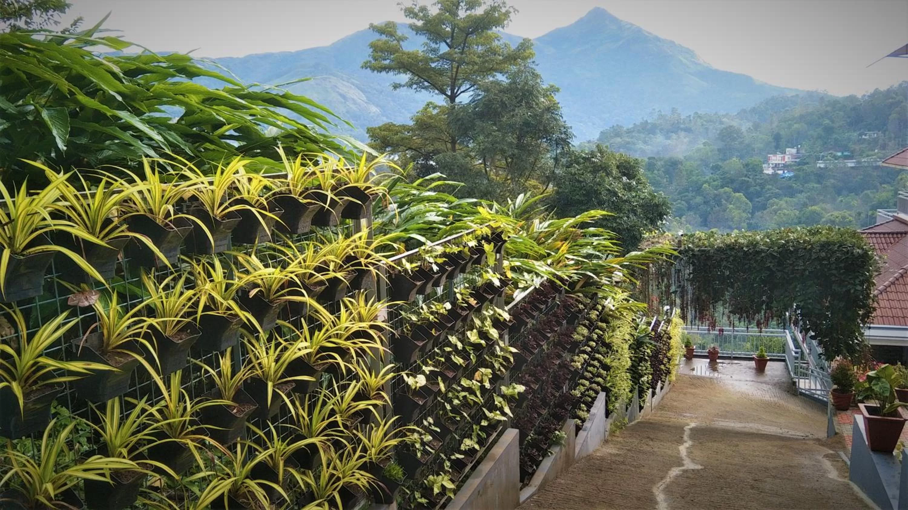 Garden view in Zenha Resorts