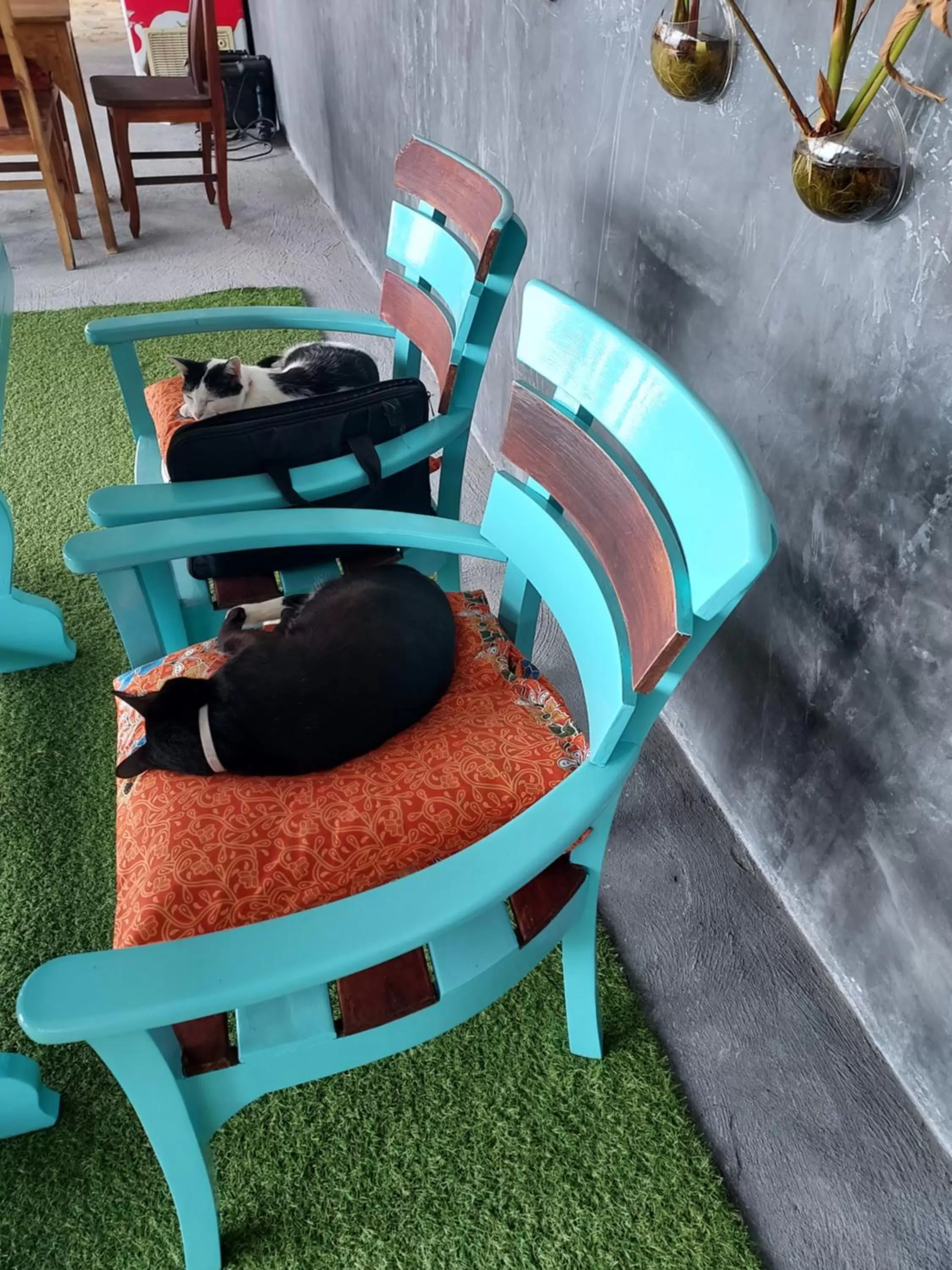 Restaurant/places to eat in Cliff Cottage