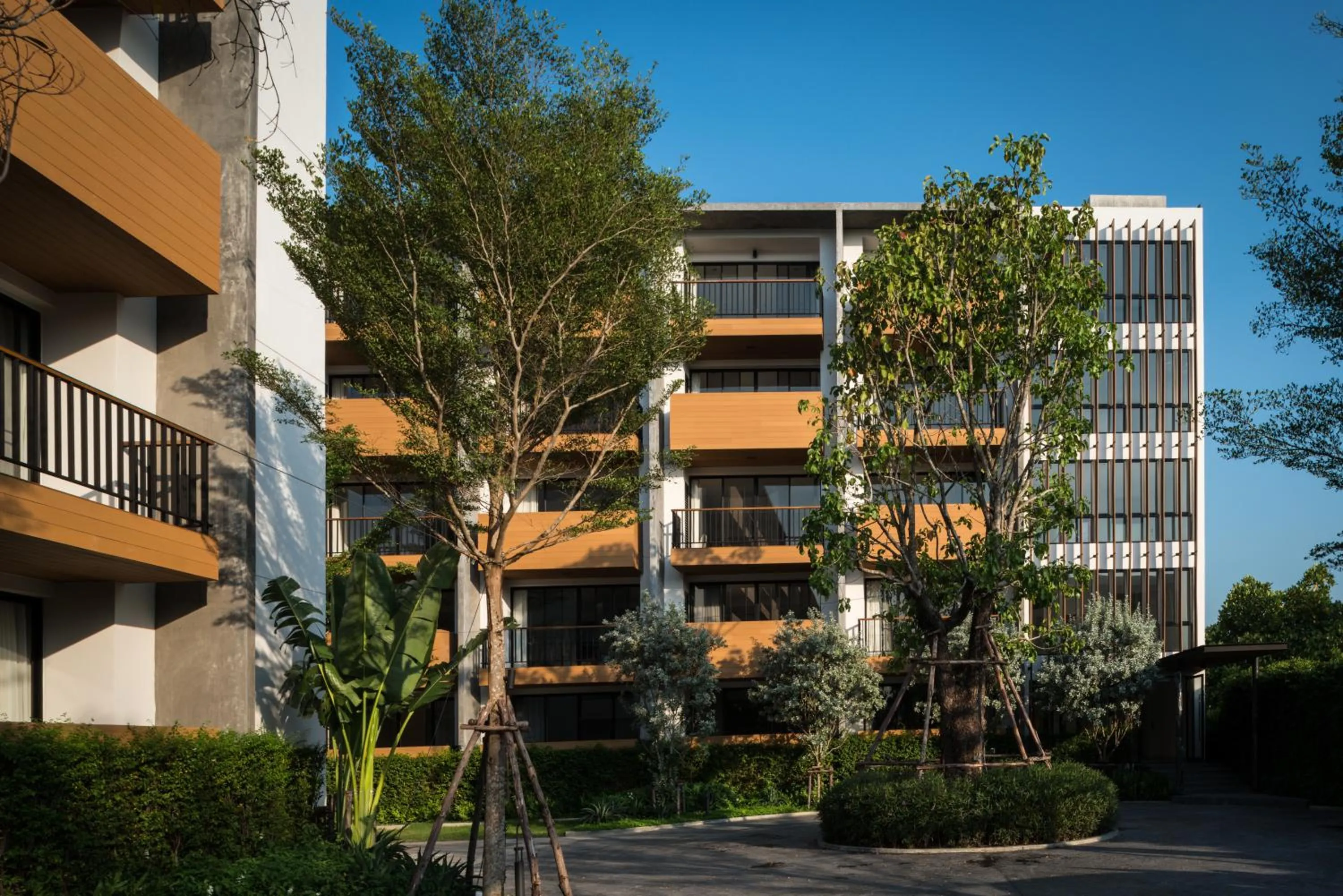 Property building in The Silver Palm Wellness Resort