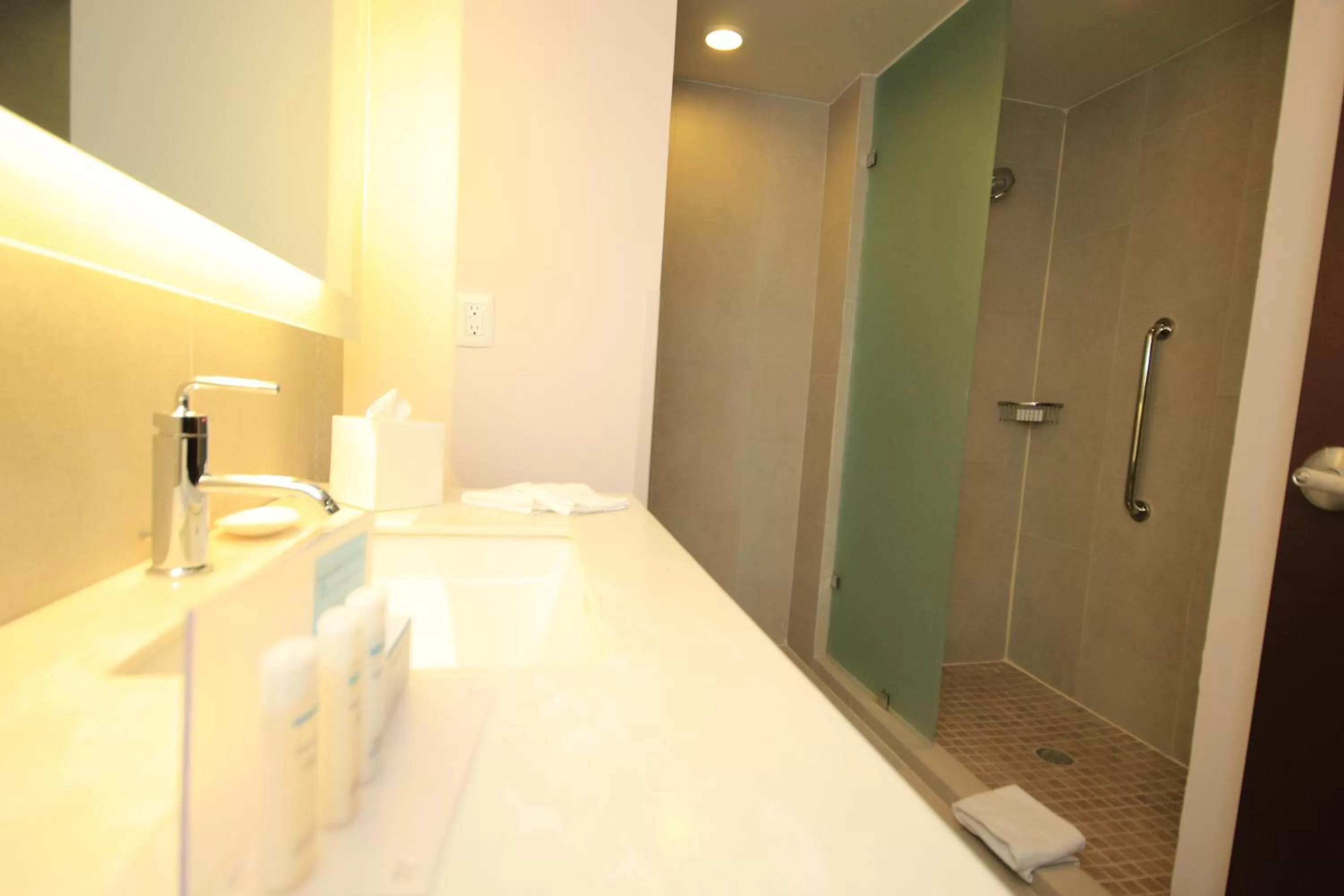 Bathroom, Bed in Hampton Inn Zacatecas