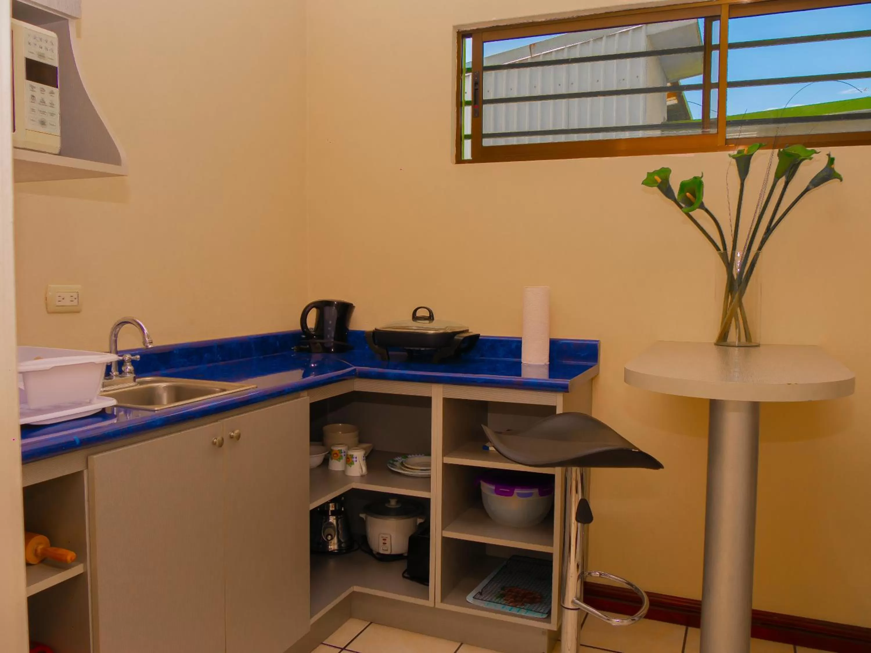 Kitchen or kitchenette in Hotel Bamboo Aeropuerto