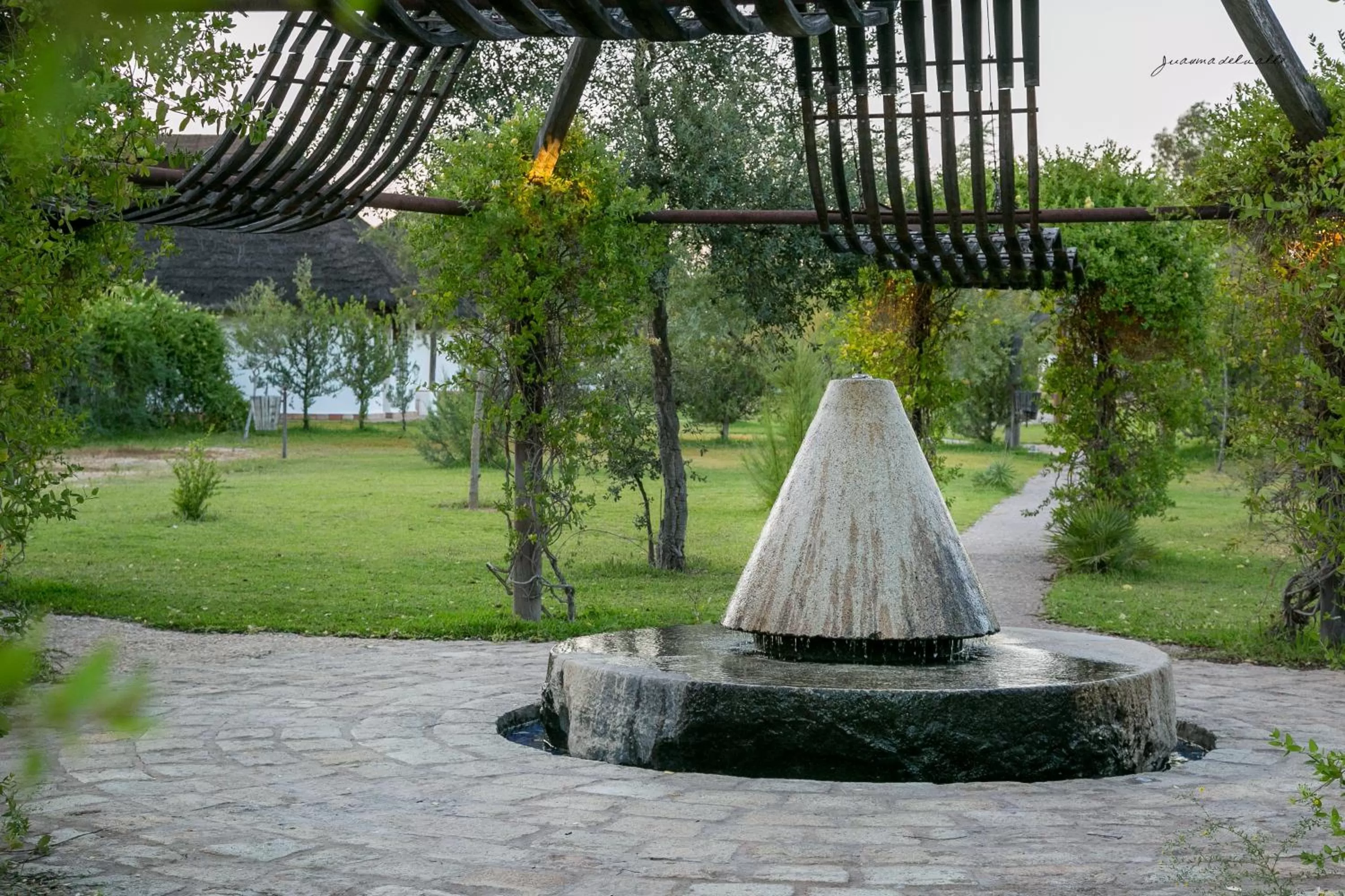 Off site in Ardea Purpurea