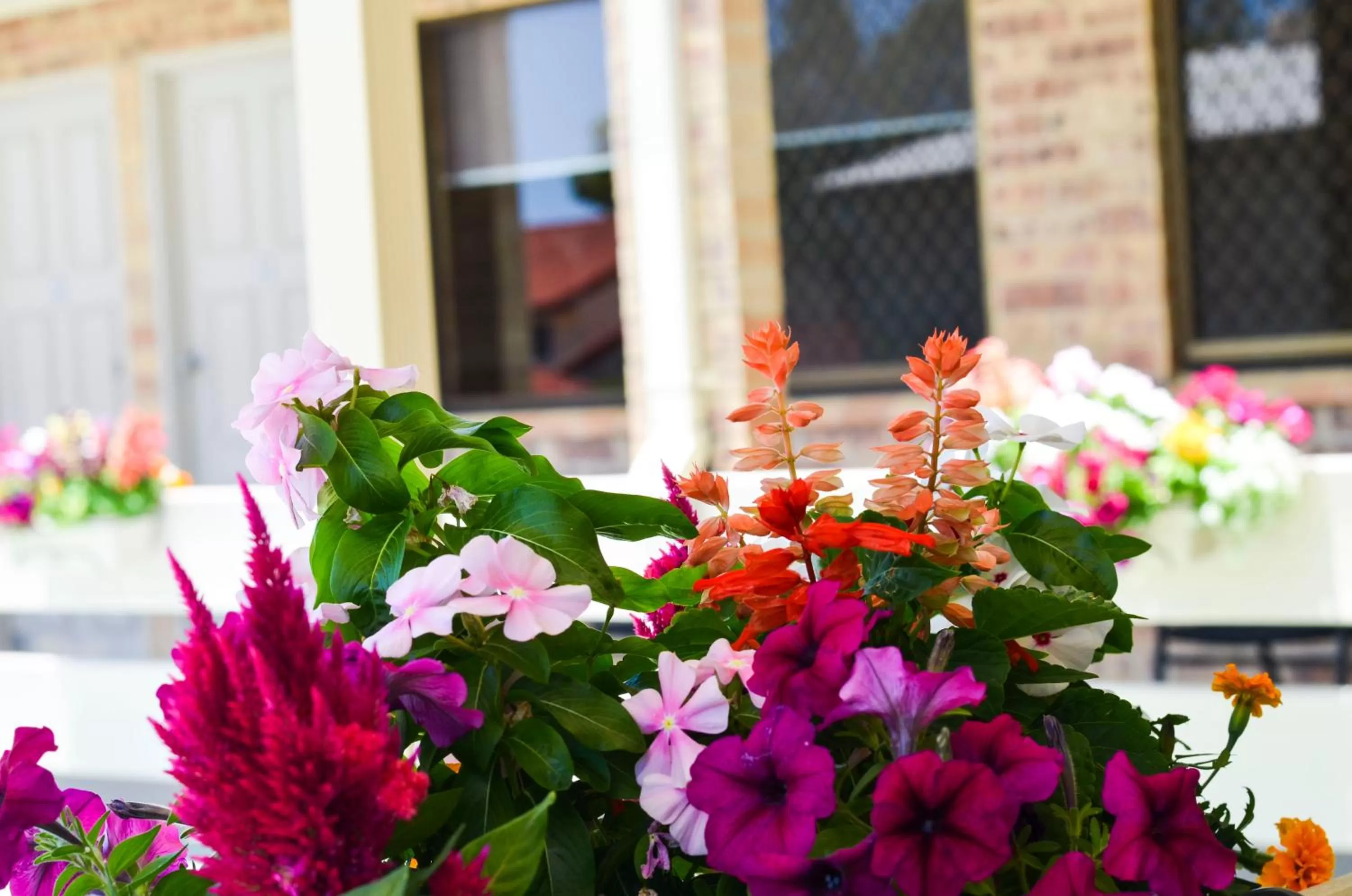 Balcony/Terrace in Golden Beach Motor Inn, Caloundra