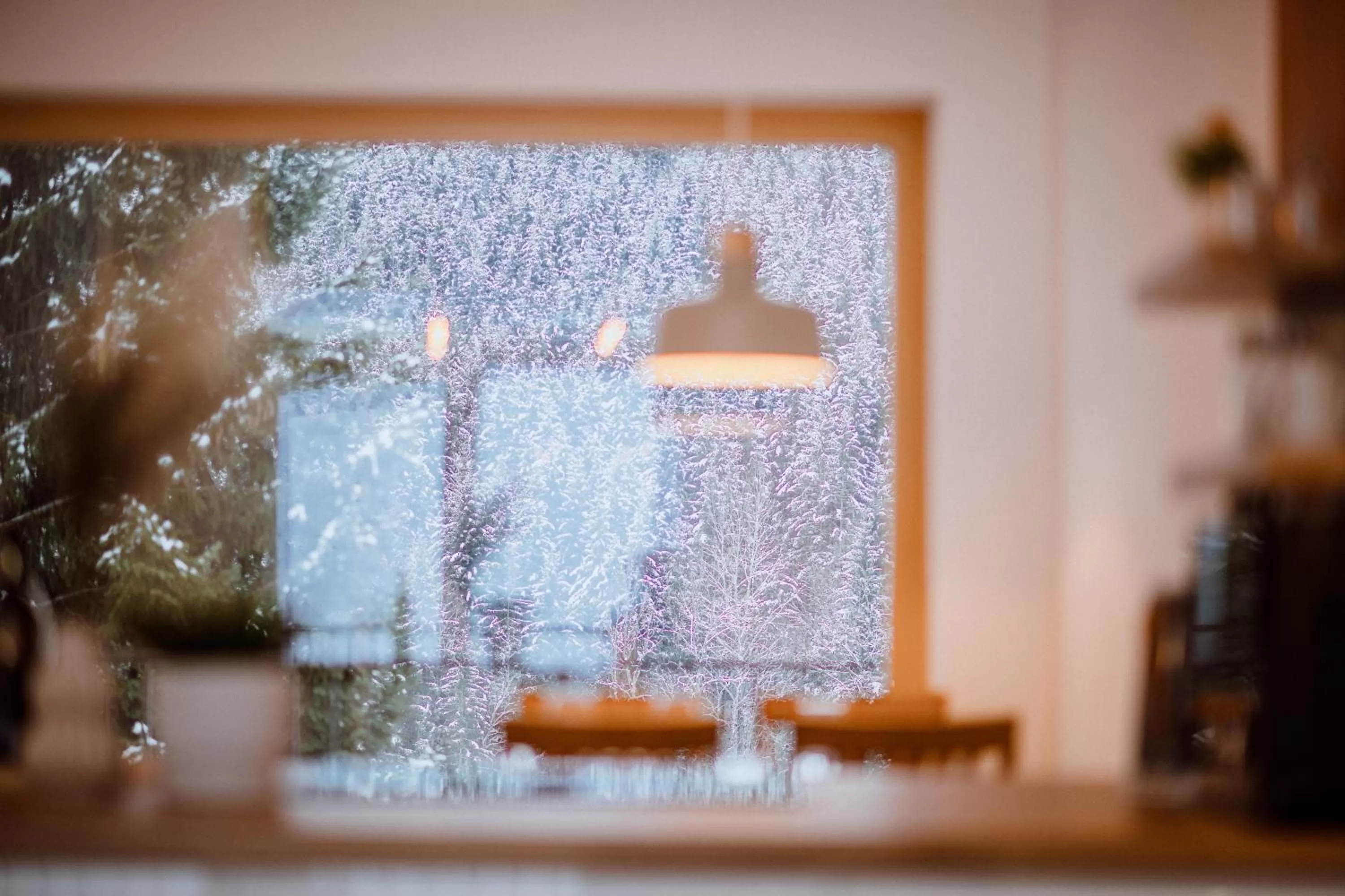 View (from property/room) in Da Alois - Alpine Premium Apartments