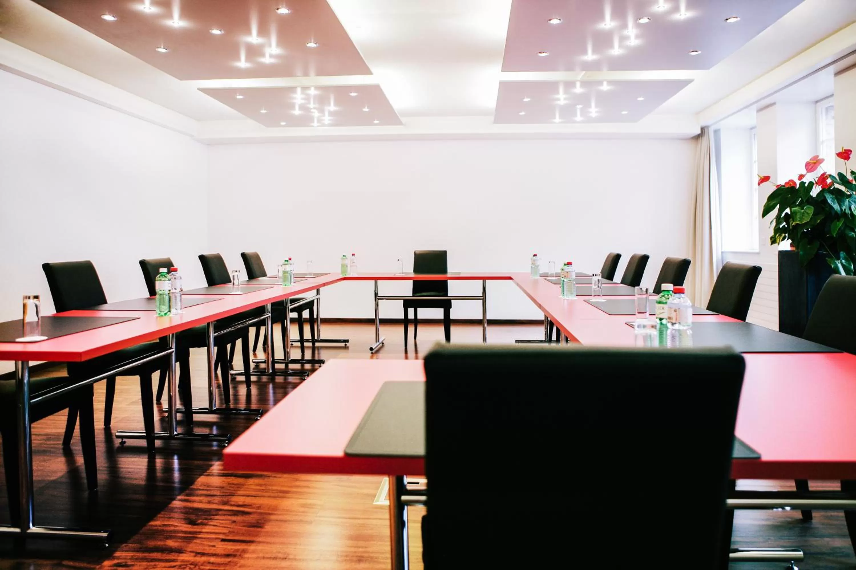 Business facilities in Hotel Murtenhof & Krone