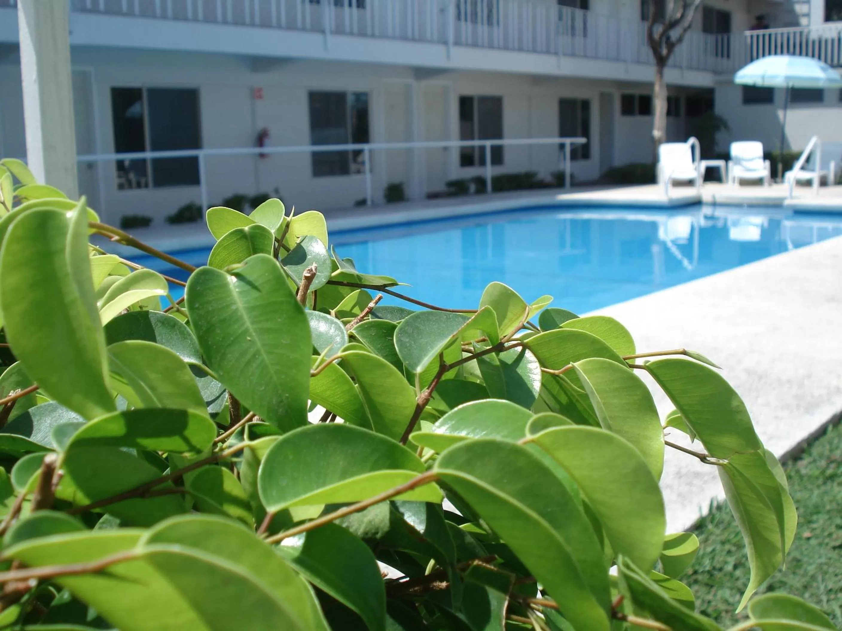 Garden view in AOHOM SANTUARIO HOTEL & SPA