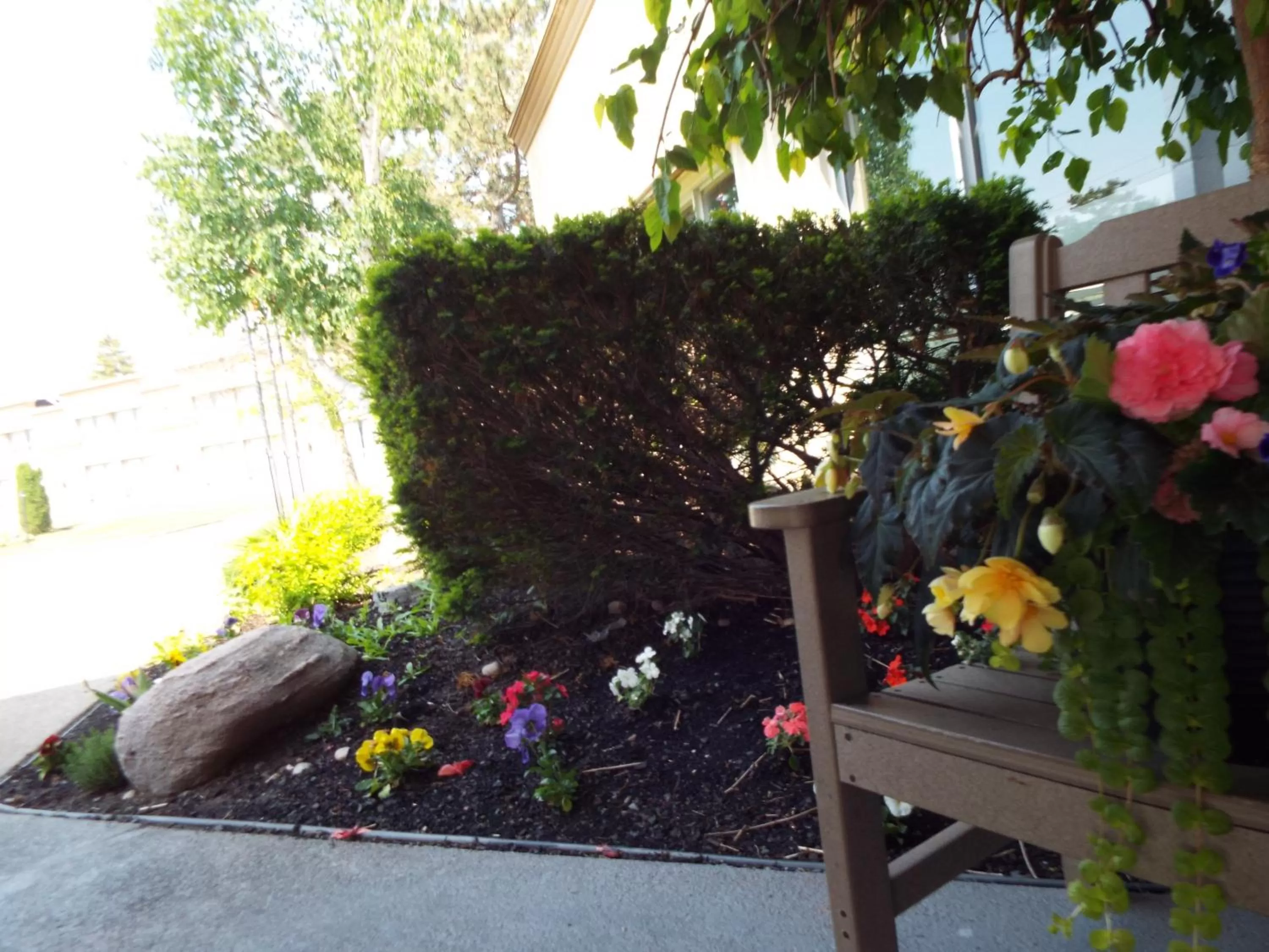 Garden in Quality Inn