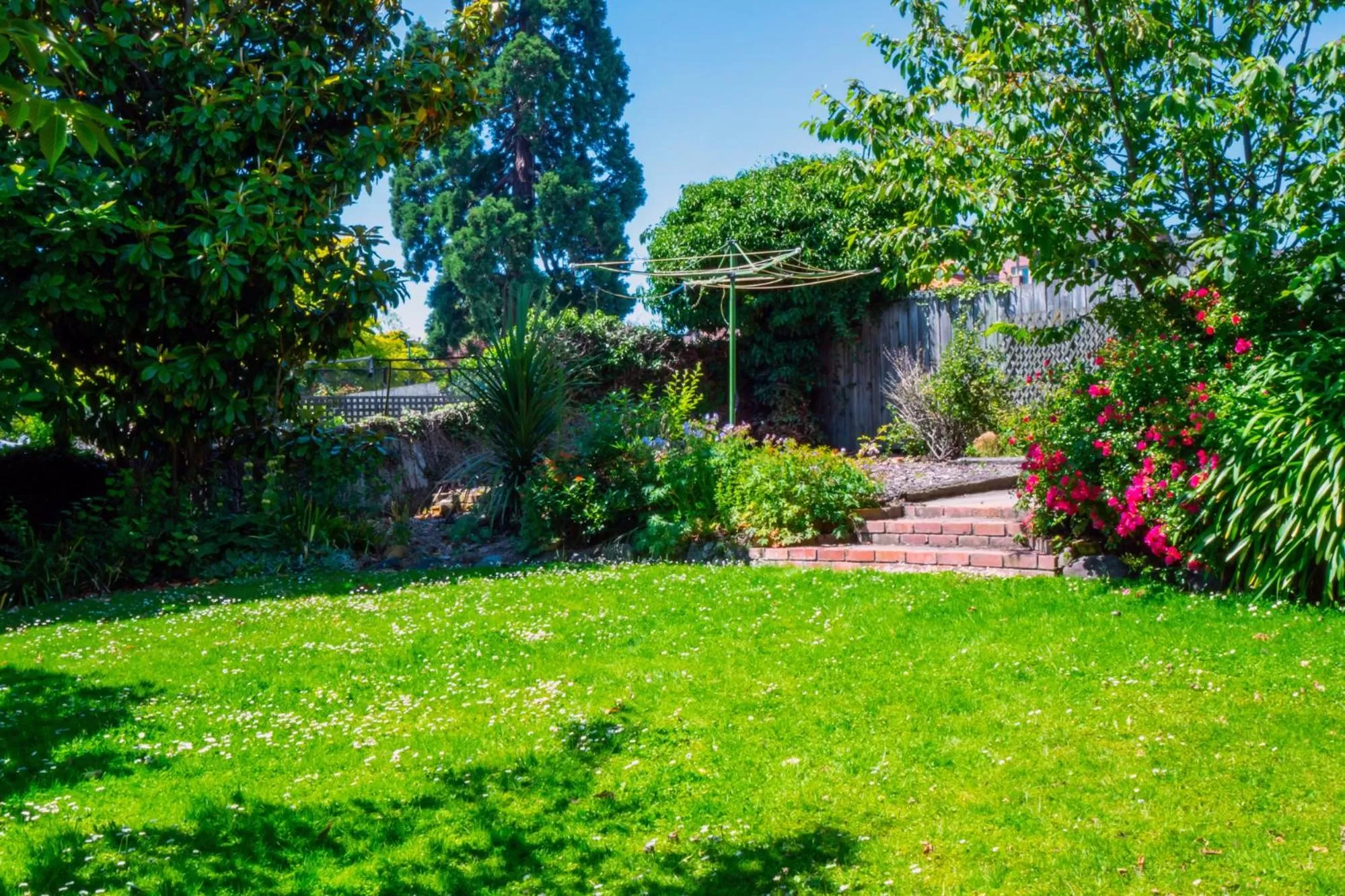 Living room, Garden in The Ocean Breeze CBD