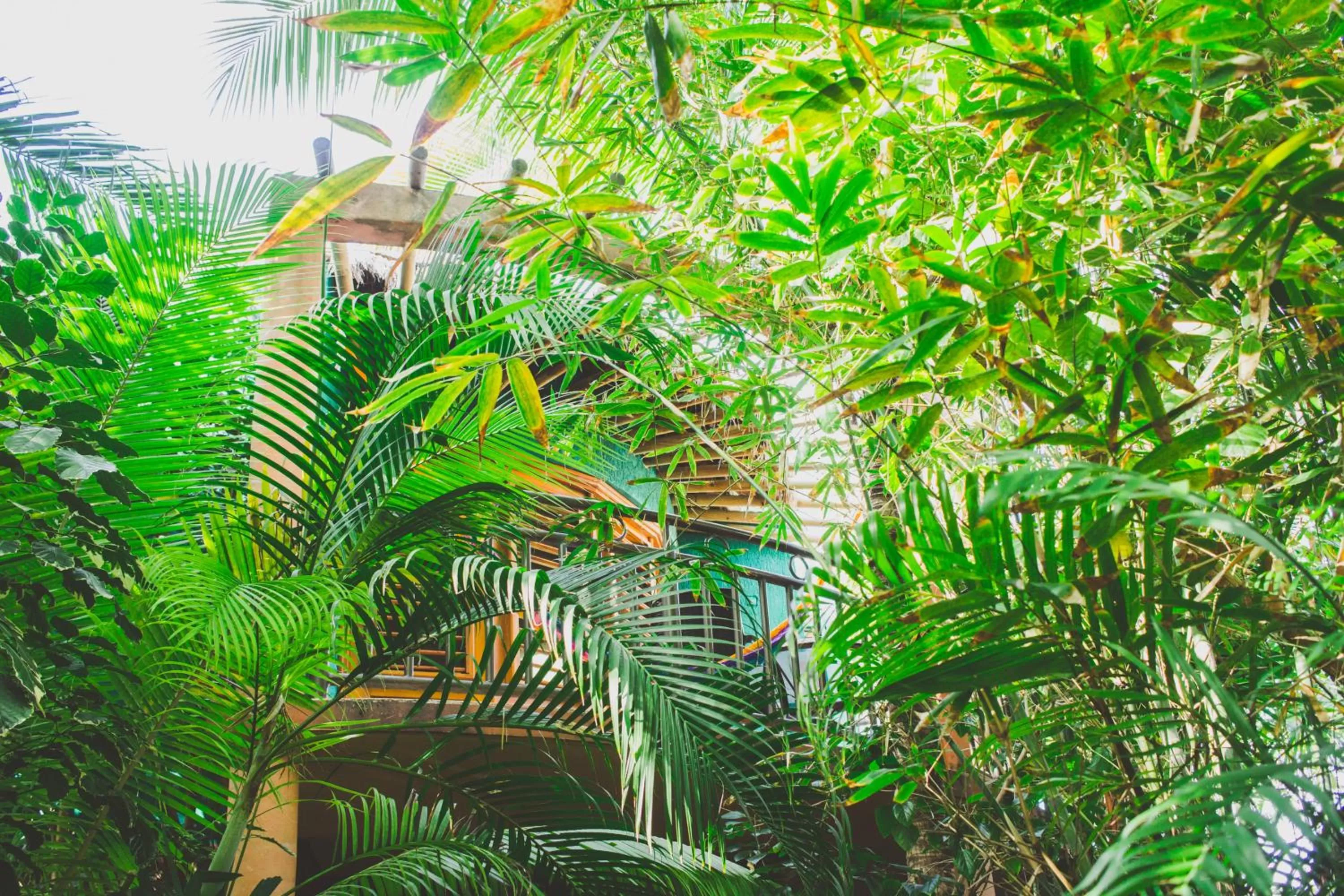 Balcony/Terrace in Cocos Cabañas Playa del Carmen Adults Only
