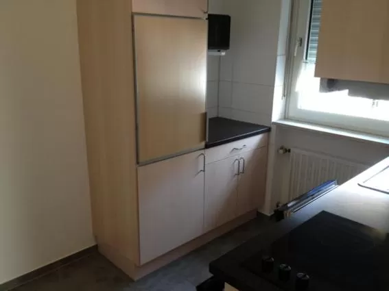 Kitchen or kitchenette in Gästehaus und Fewo Lamm Garni