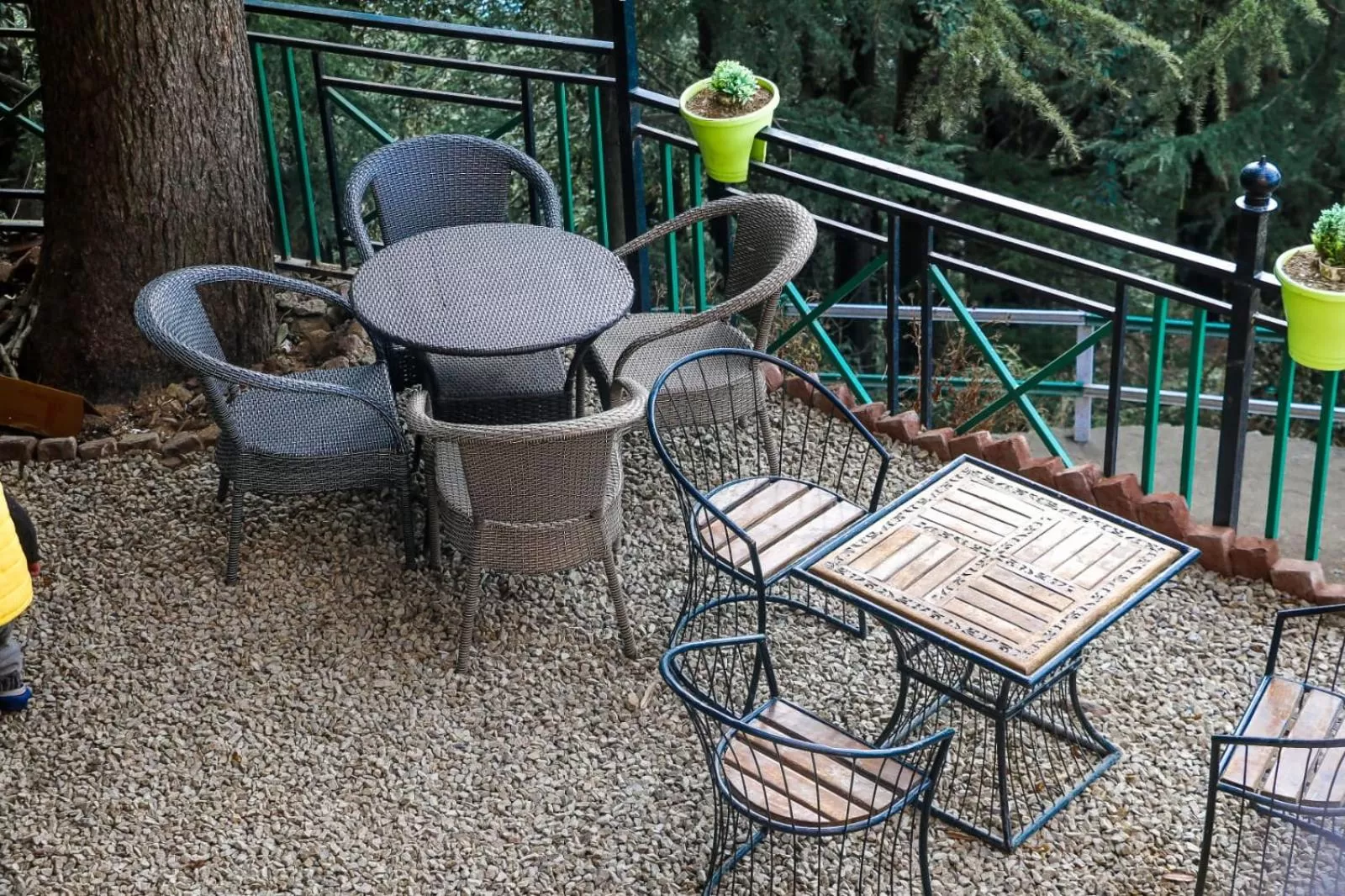 Garden in Jakhu Vibes