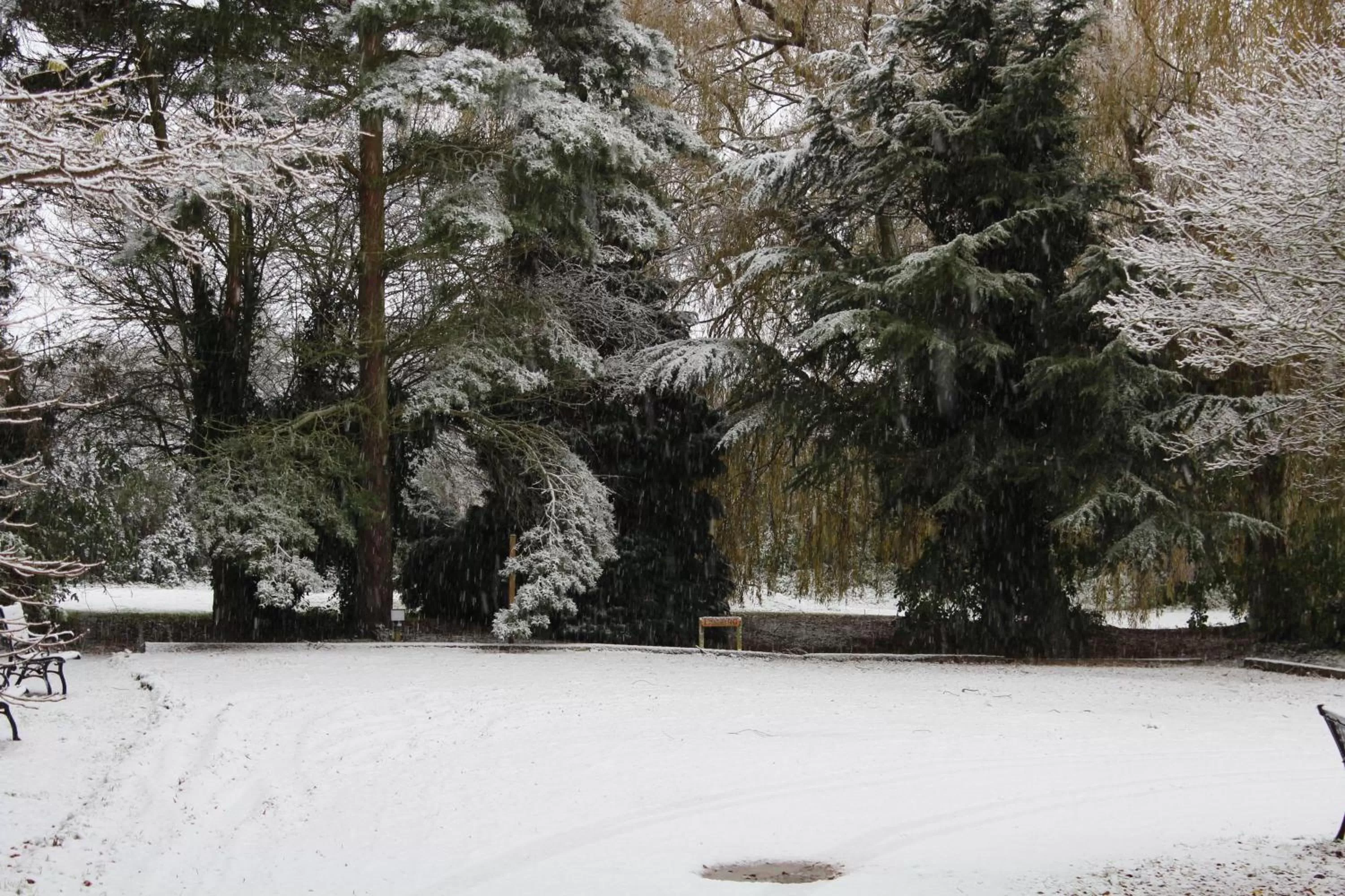 Other in Molland Manor House Bed & Breakfast