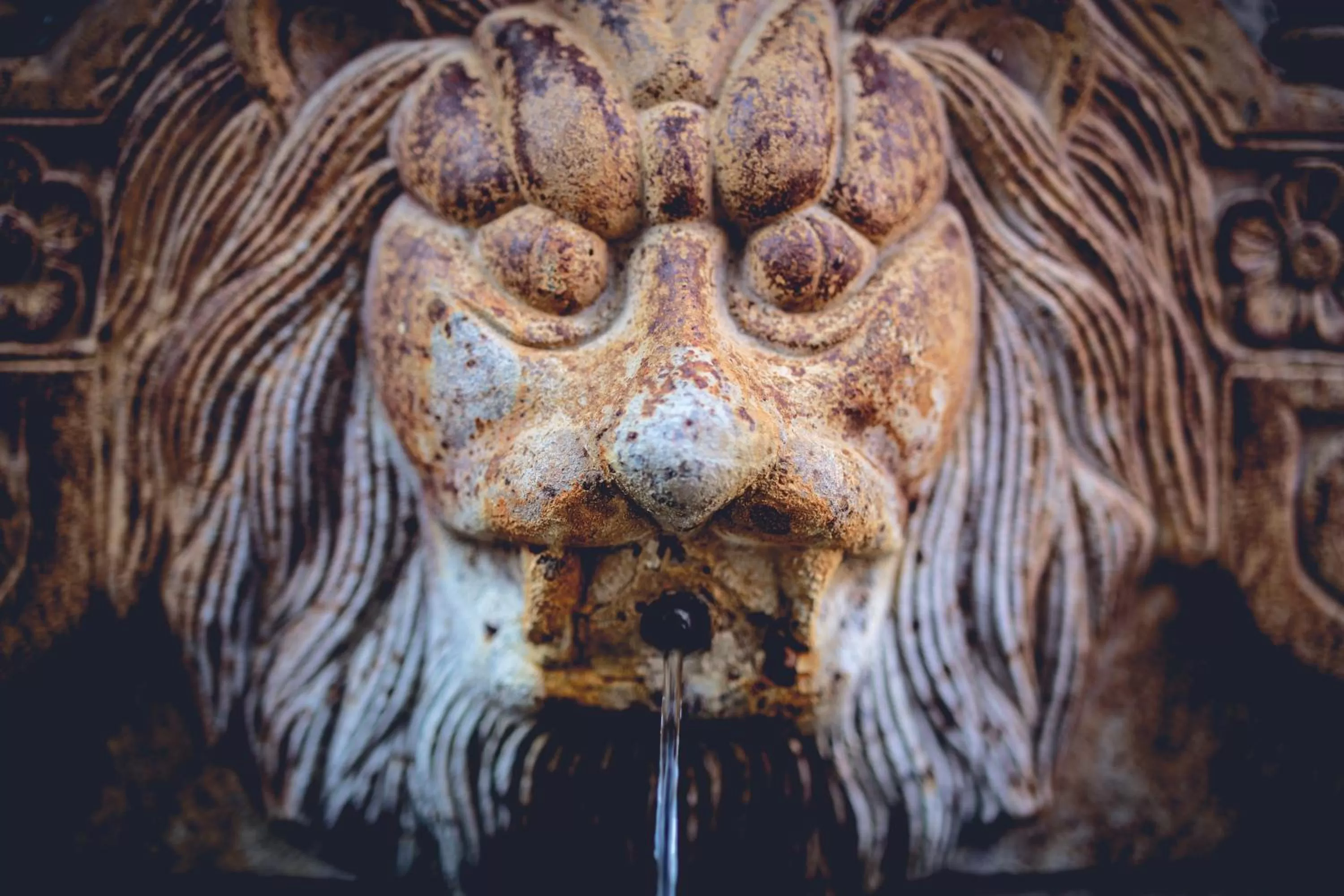 Property building in וילה תהילה המחודש - The new Villa Tehila