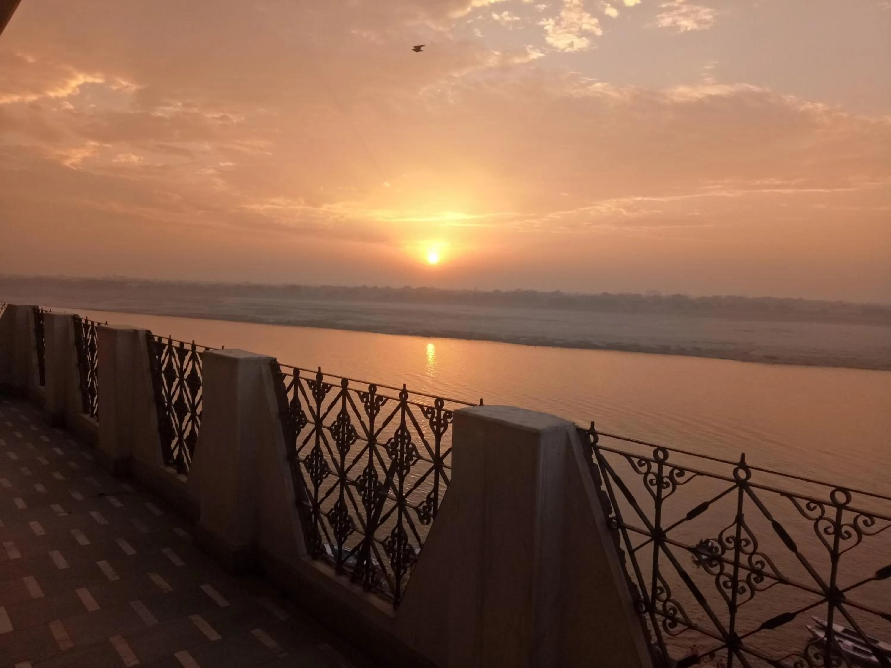 Summer in Scindhia Guest House