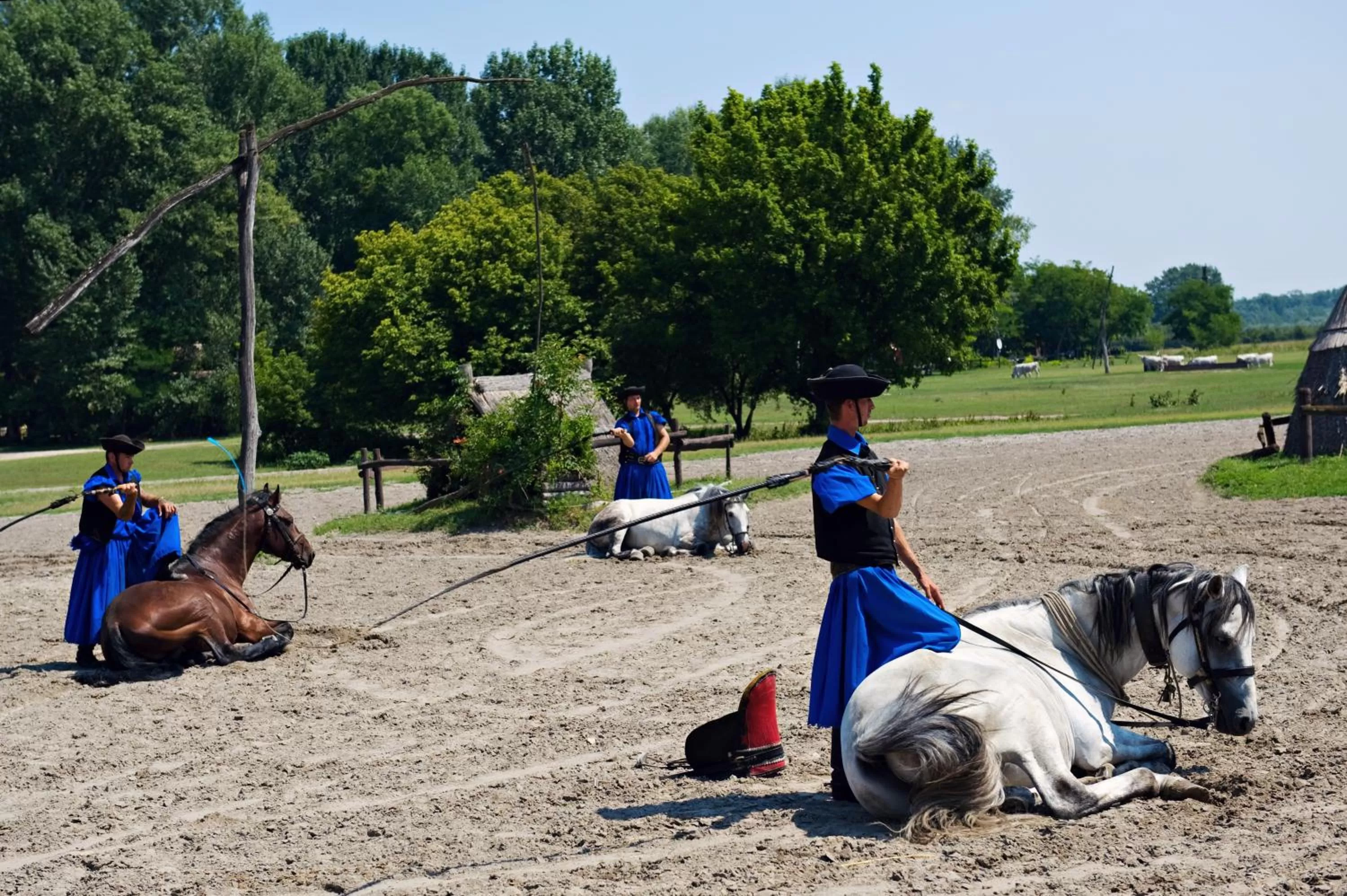 Day in Varga Tanya Hotel